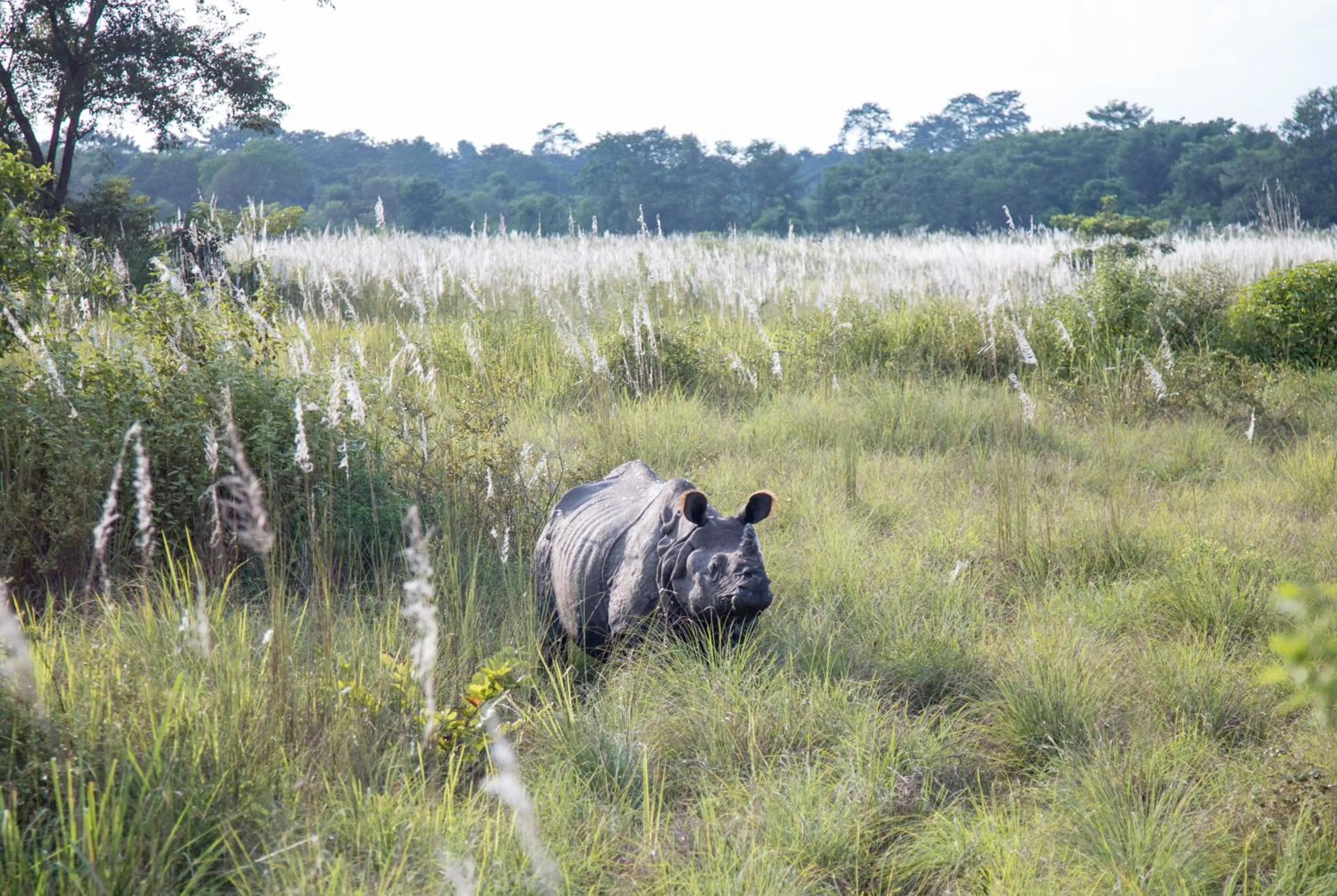 Off site in Kasara Chitwan