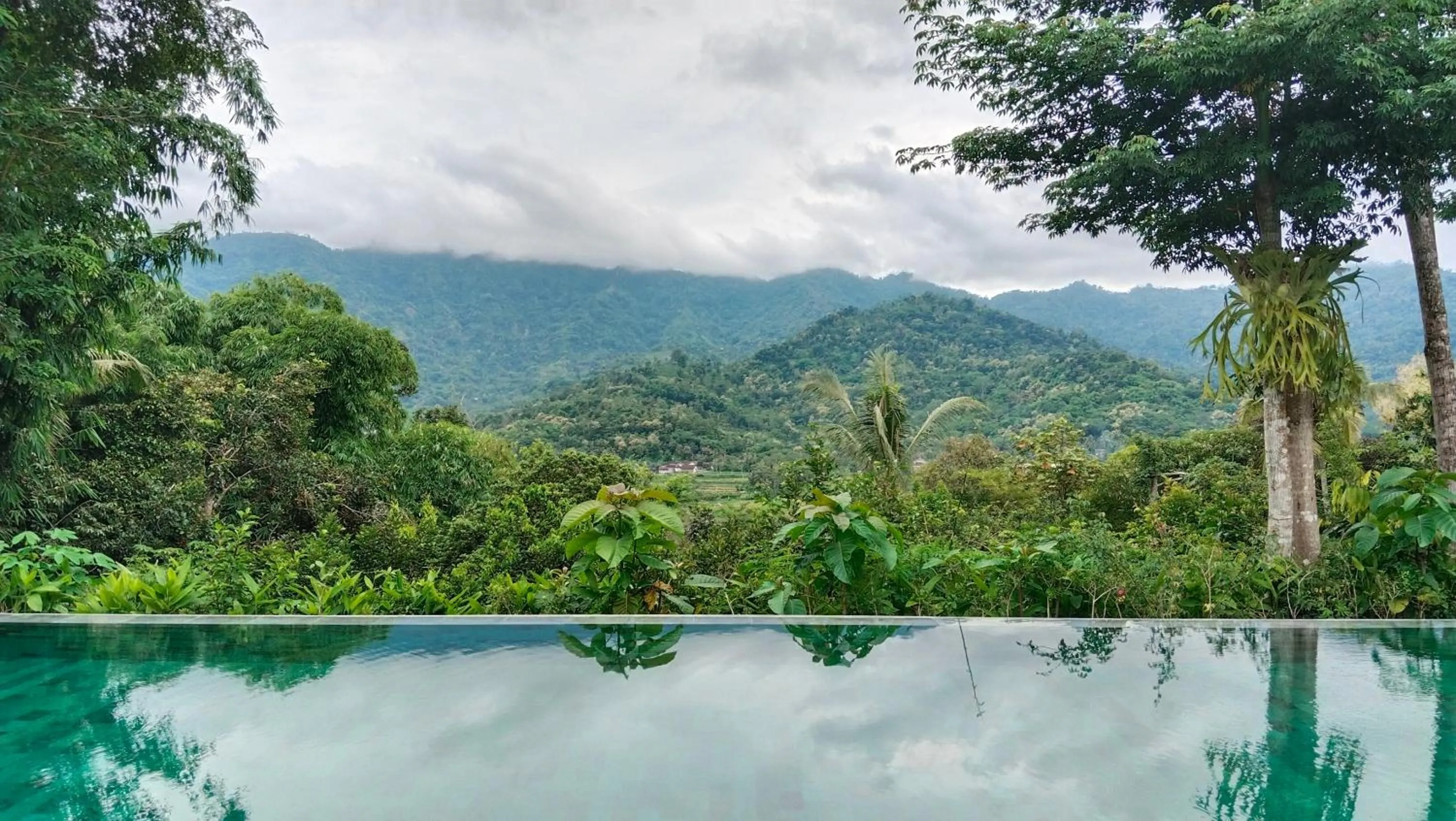 Swimming pool in The Setumbu Experience, ARTOTEL Curated