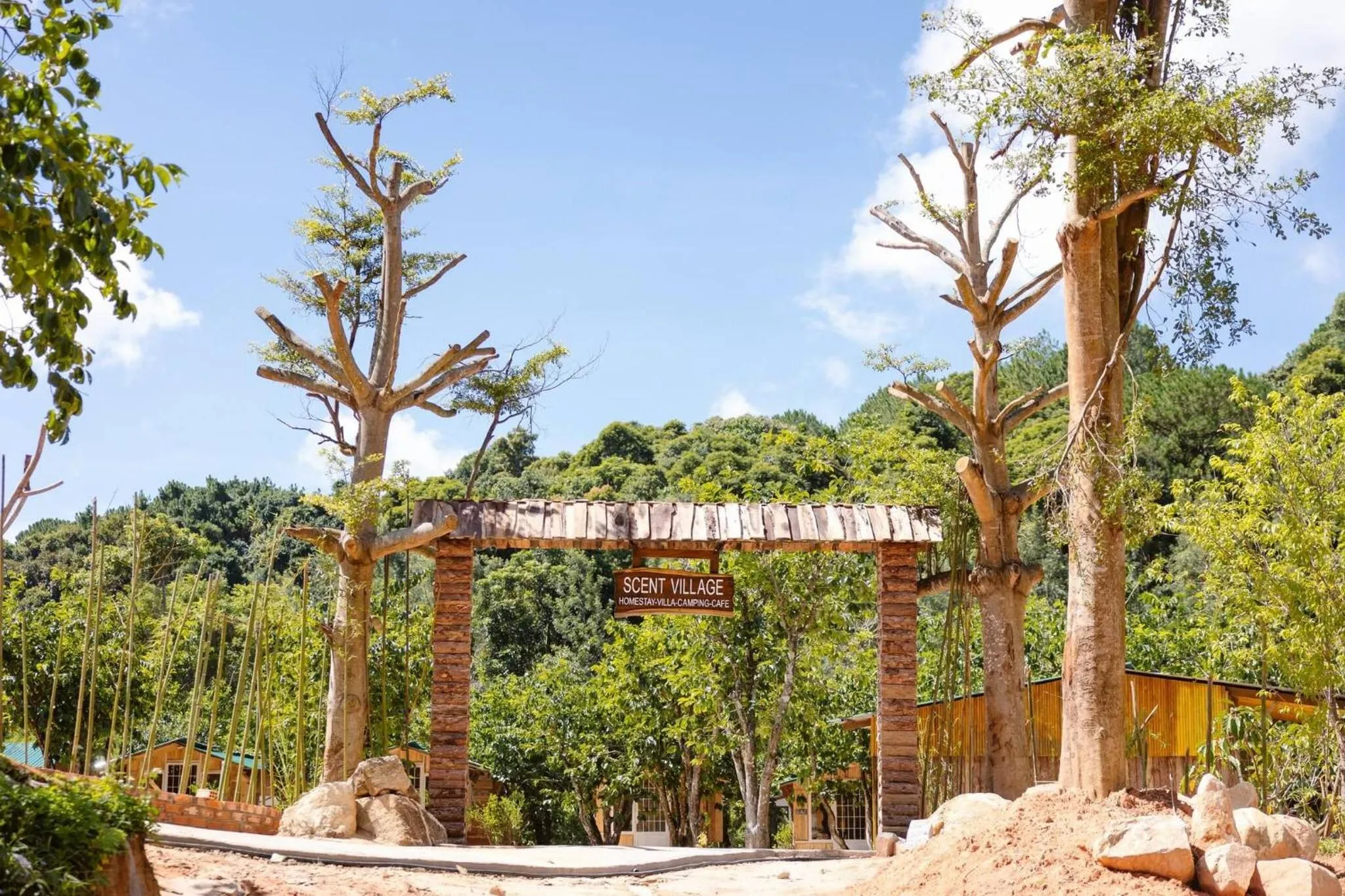 Summer in Scent Chalet D - Village