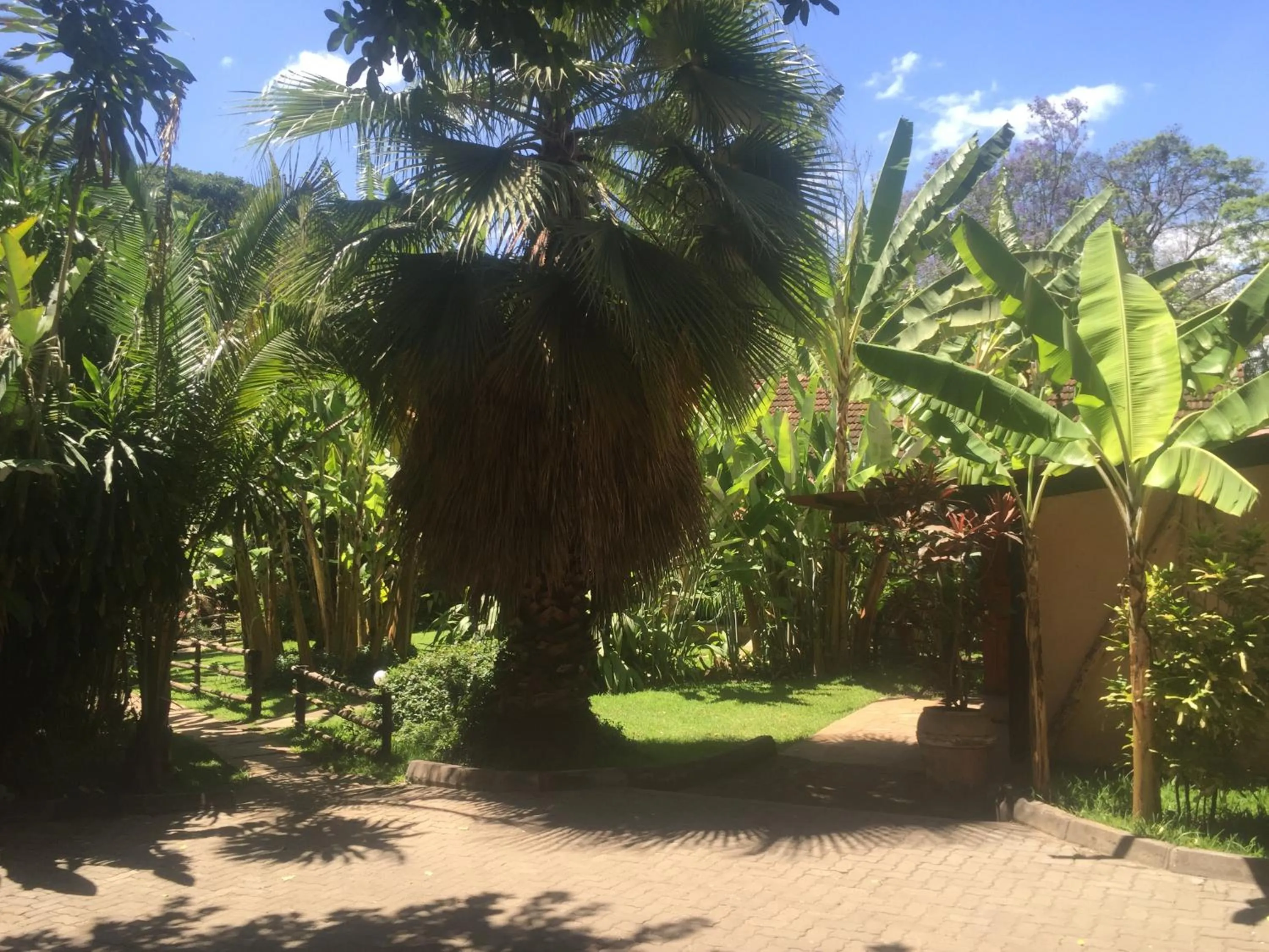 Day in Outpost Lodge