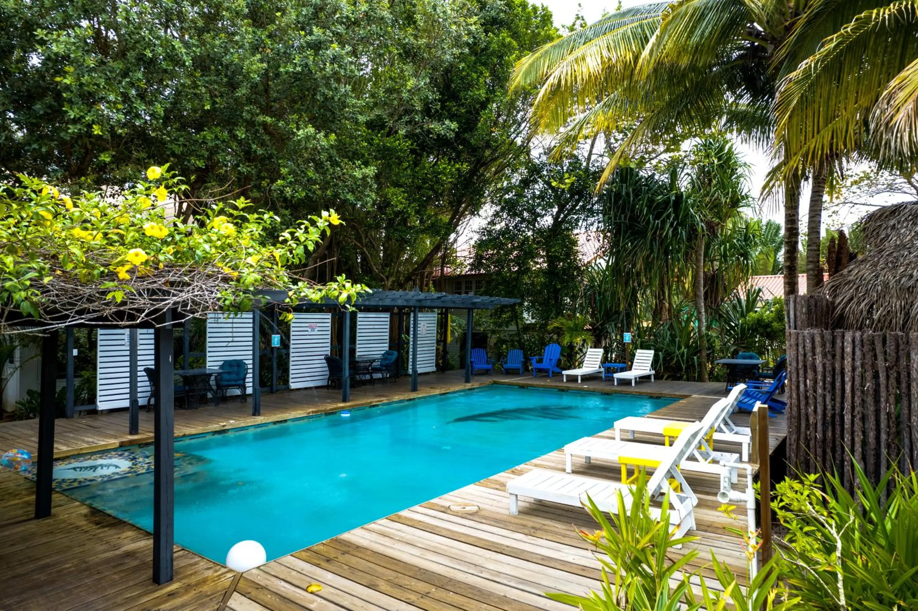 Swimming pool in Azure Del Mar