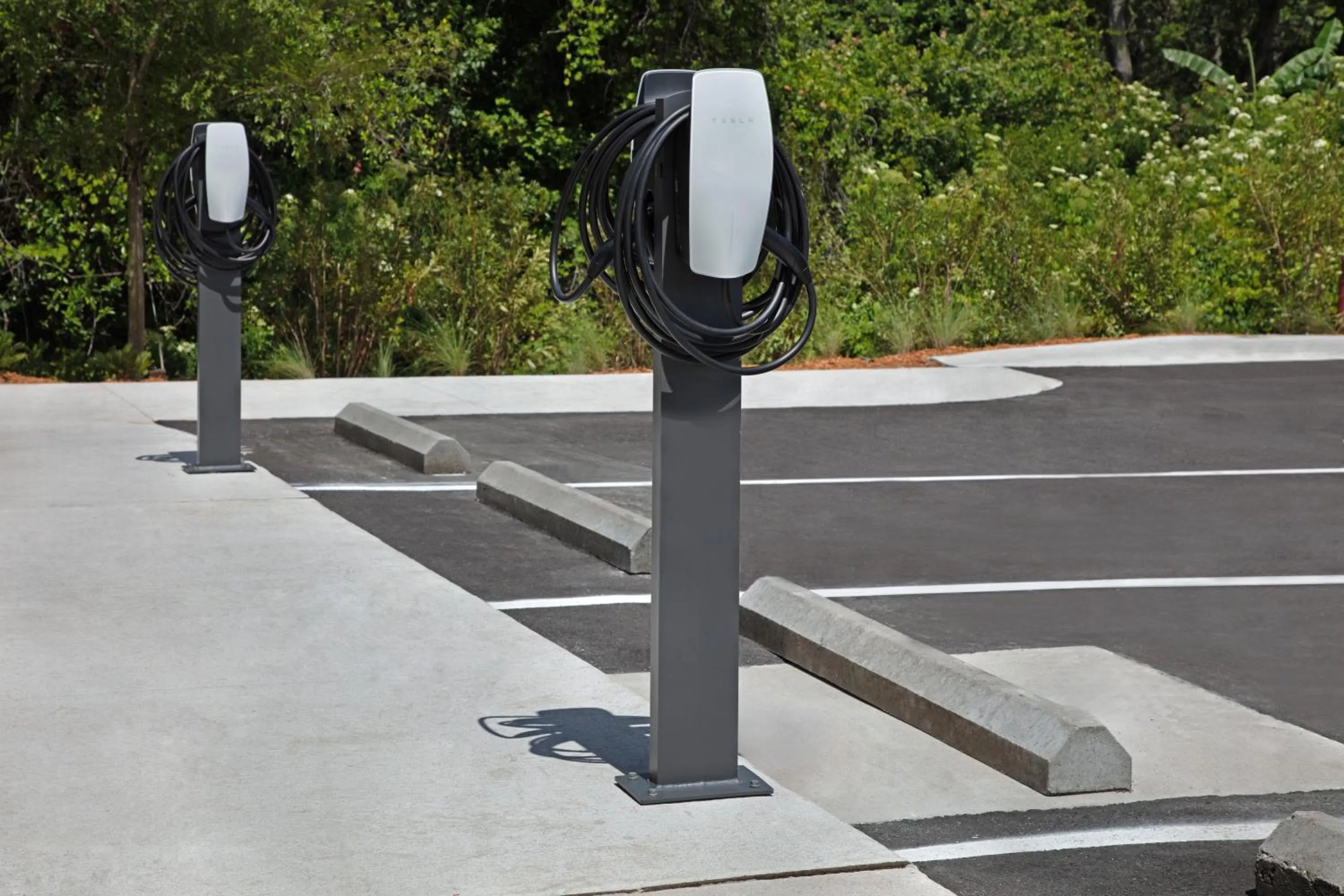 Area and facilities in TownePlace Suites by Marriott Jacksonville Mayport