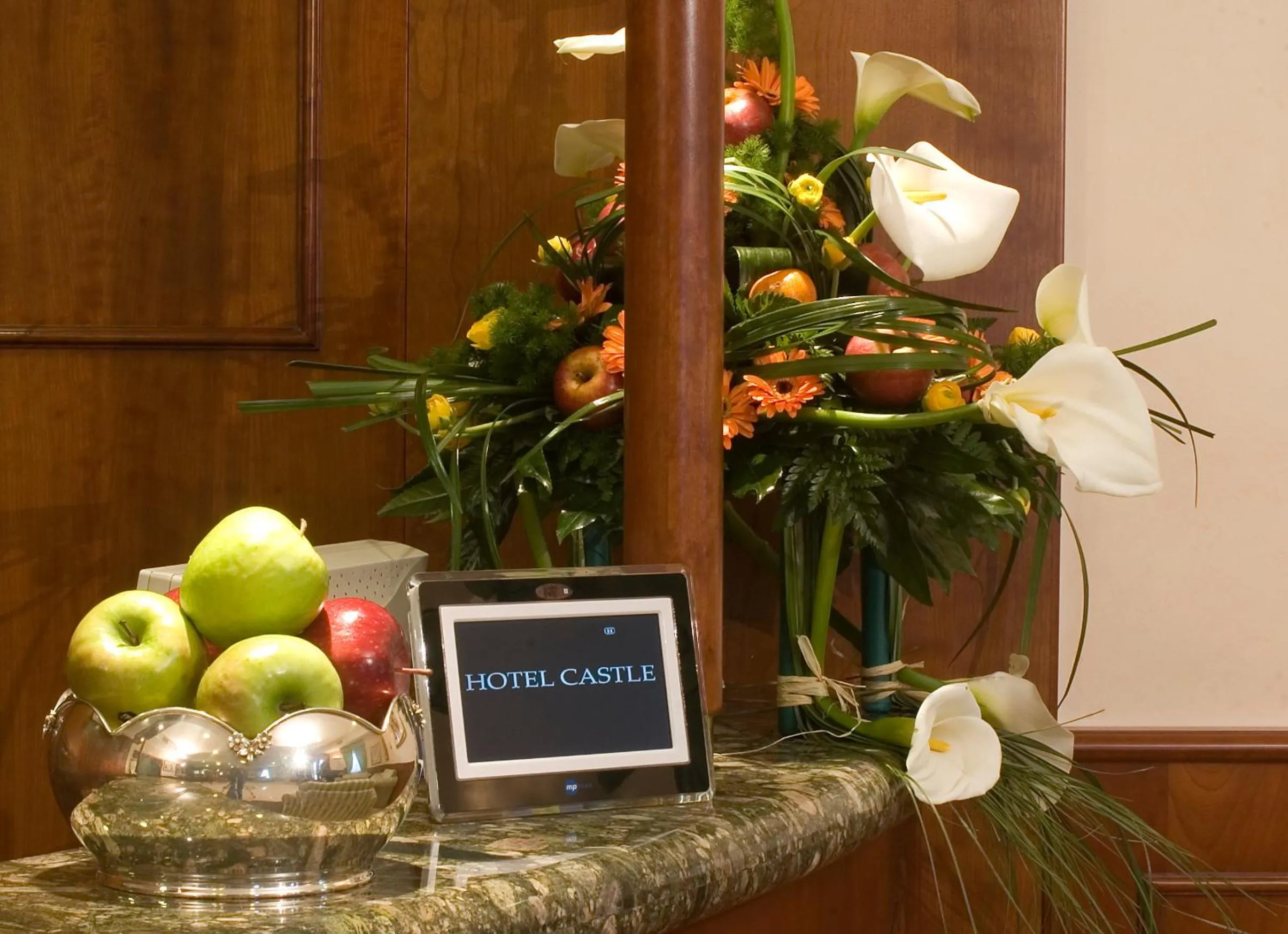 Lobby or reception in Hotel Castle