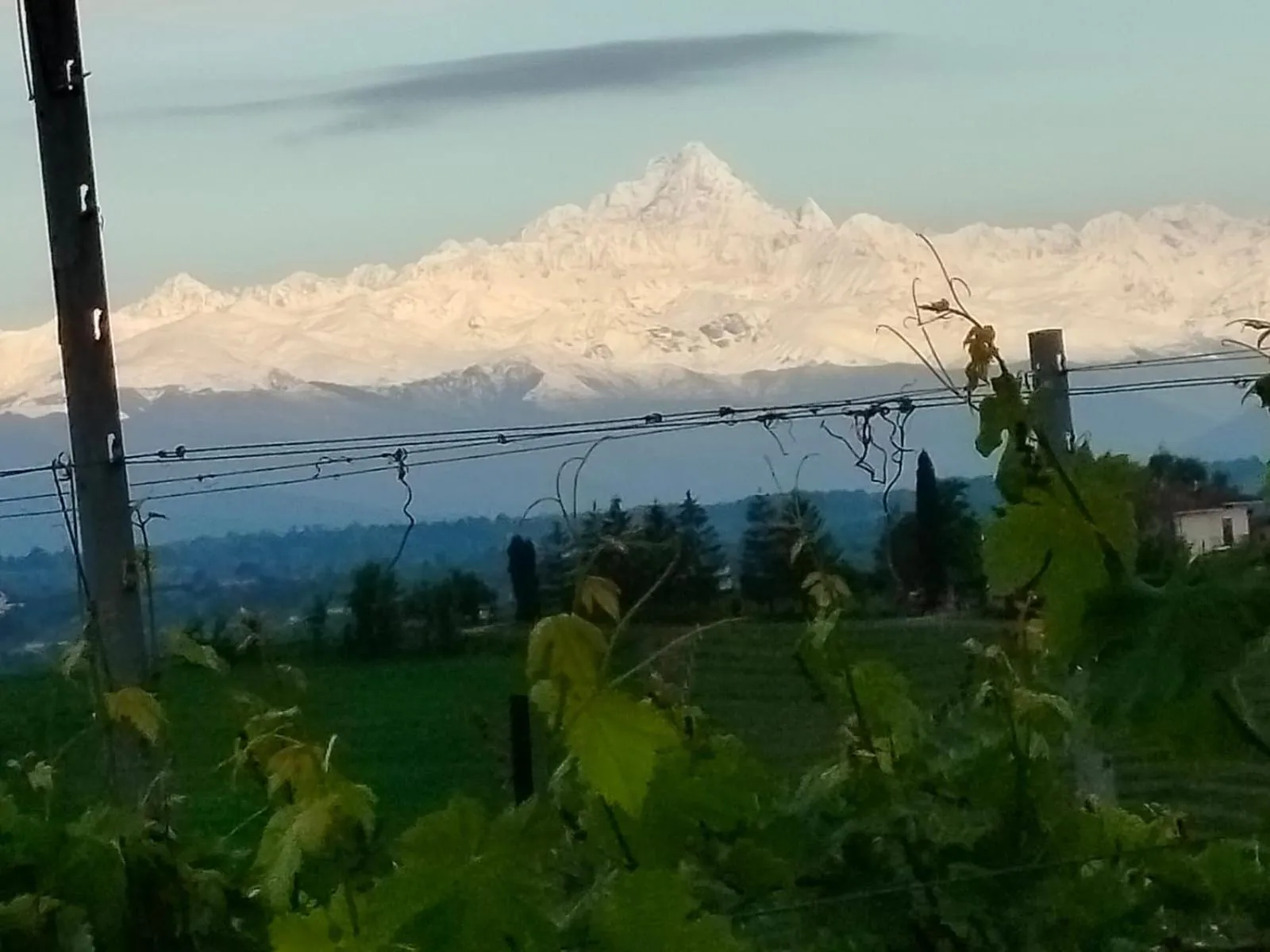 Natural landscape in Cascina Torello