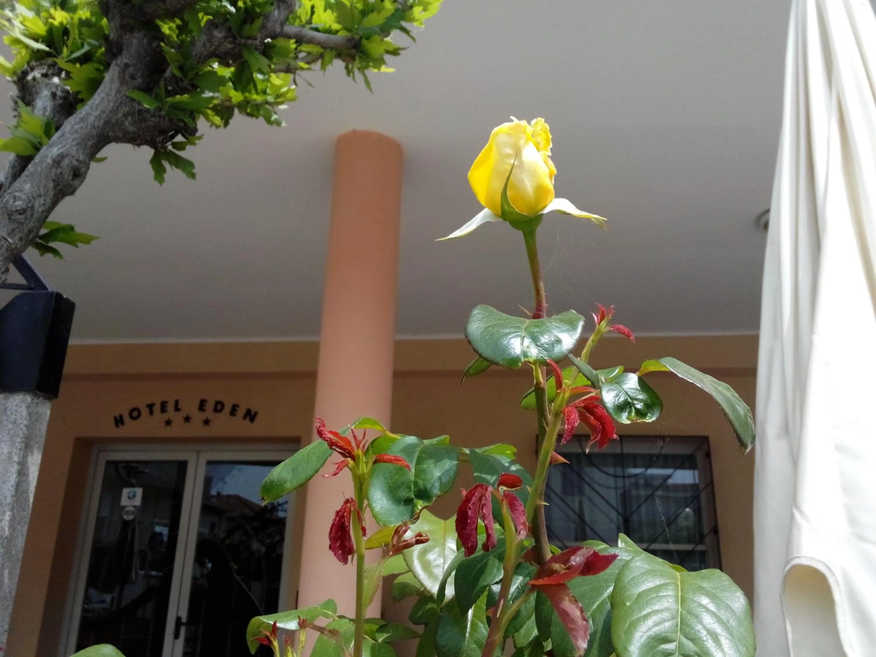 Facade/entrance in Hotel Eden