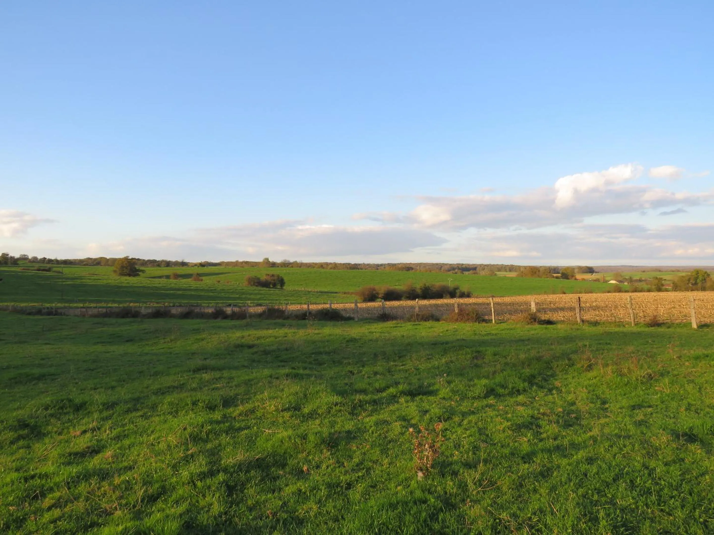 Other in Grange d'Anjeux Bed & Breakfast