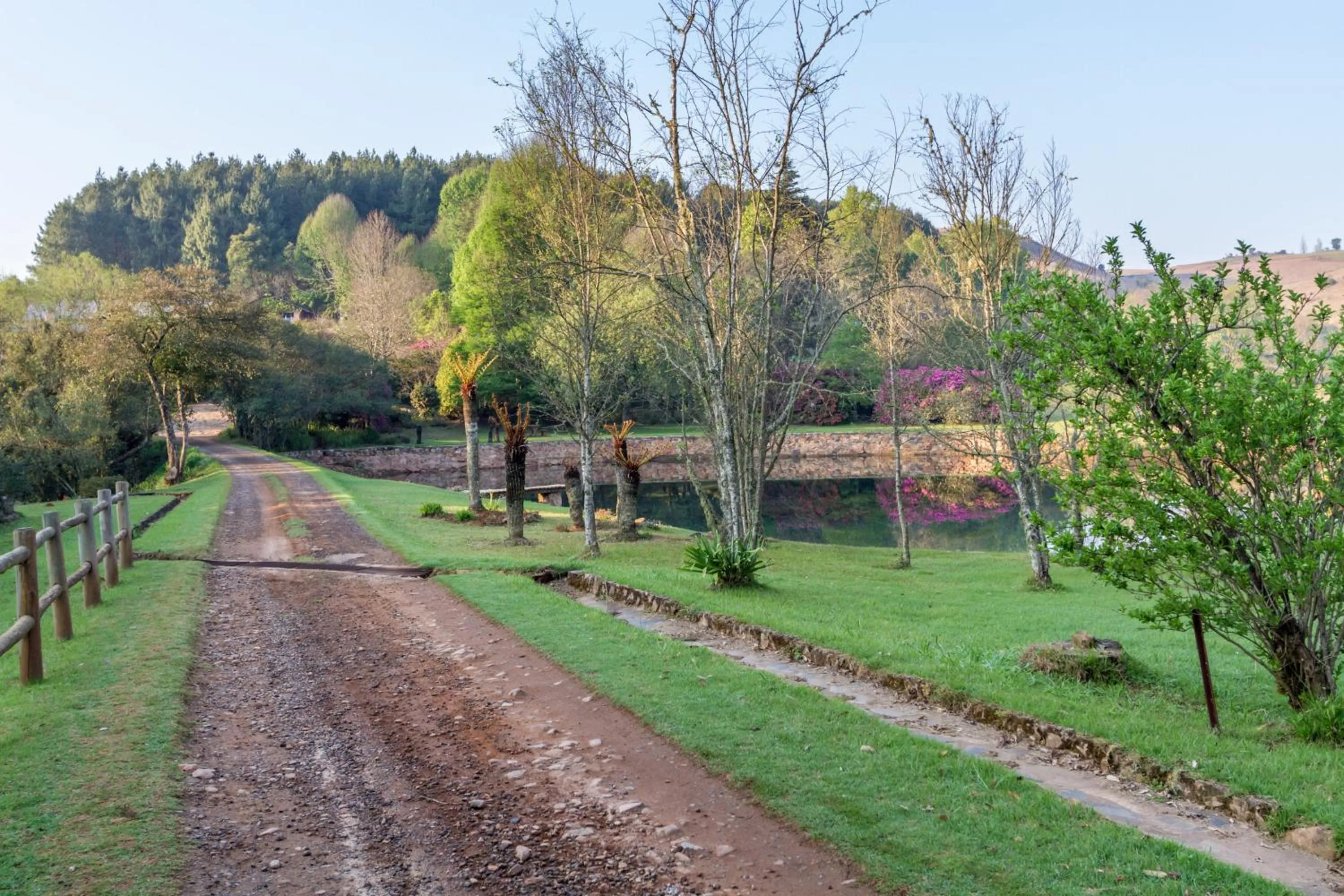 Garden view in Misty Mountain