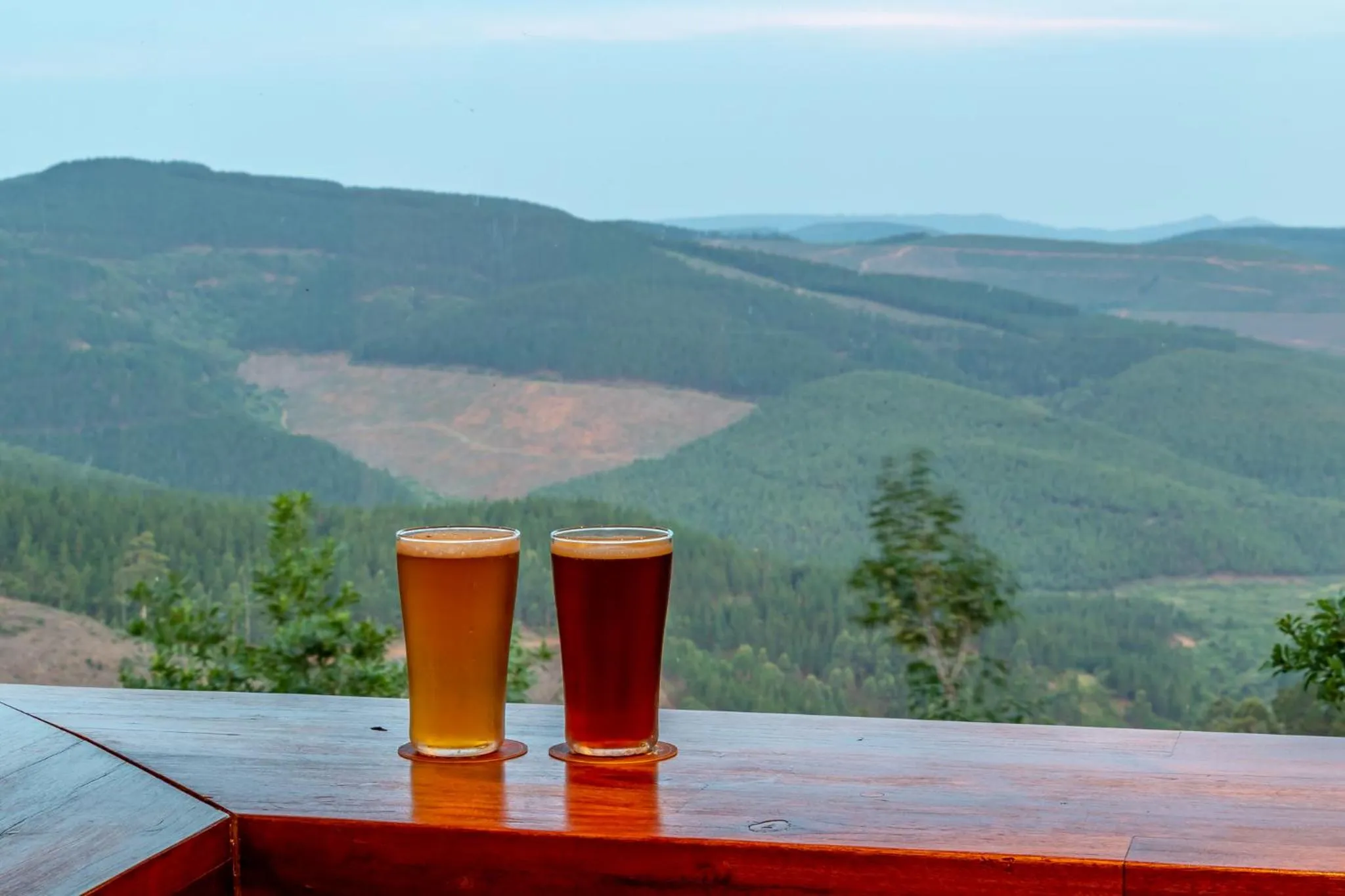 Natural landscape in Misty Mountain
