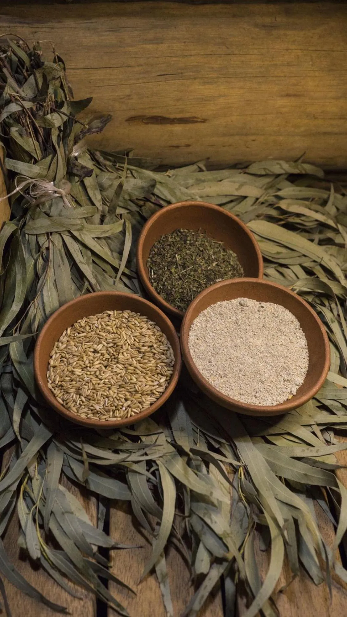 Sauna in Tsar Bani Spa Resort