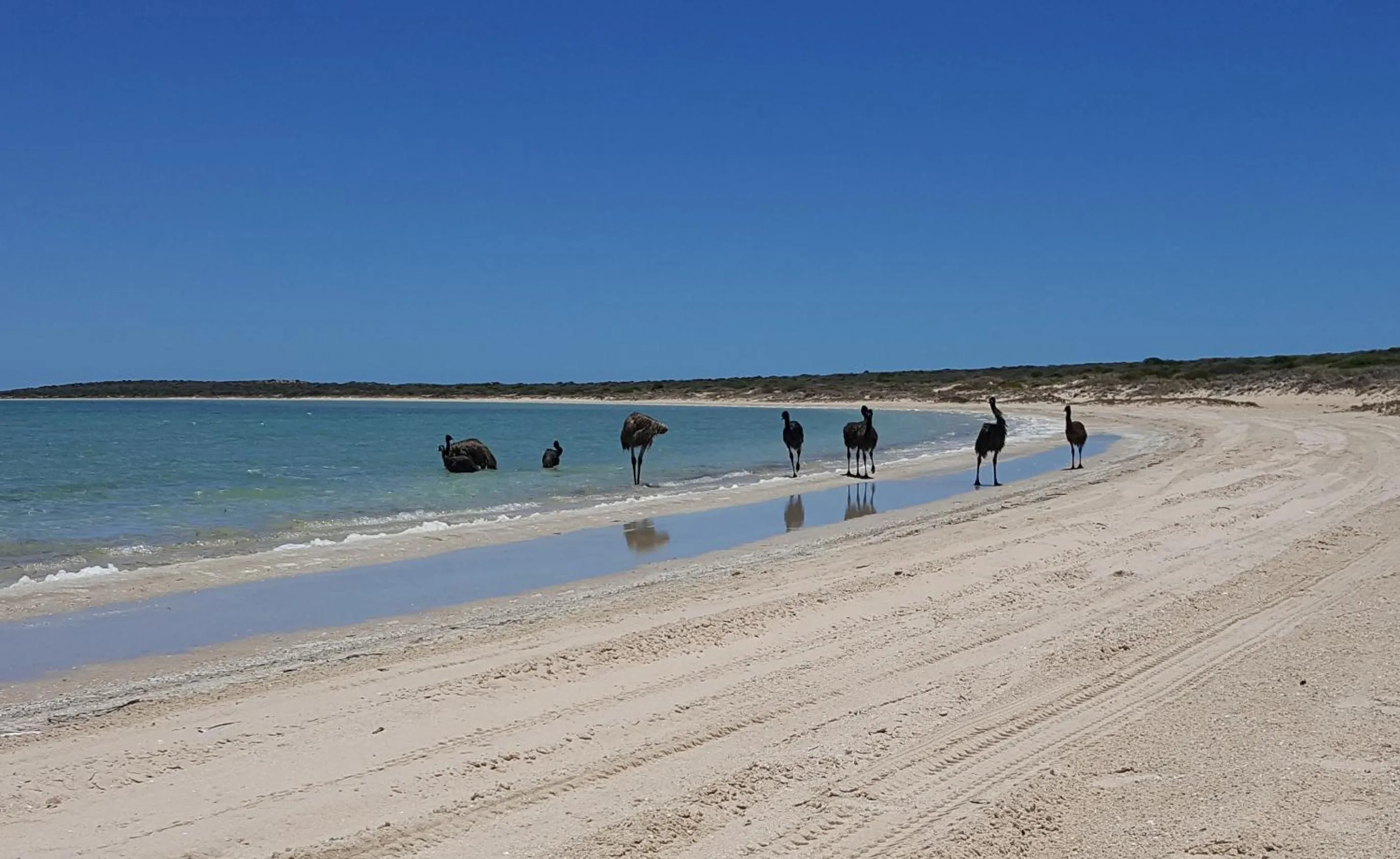 Beach in On the Deck @ Shark Bay