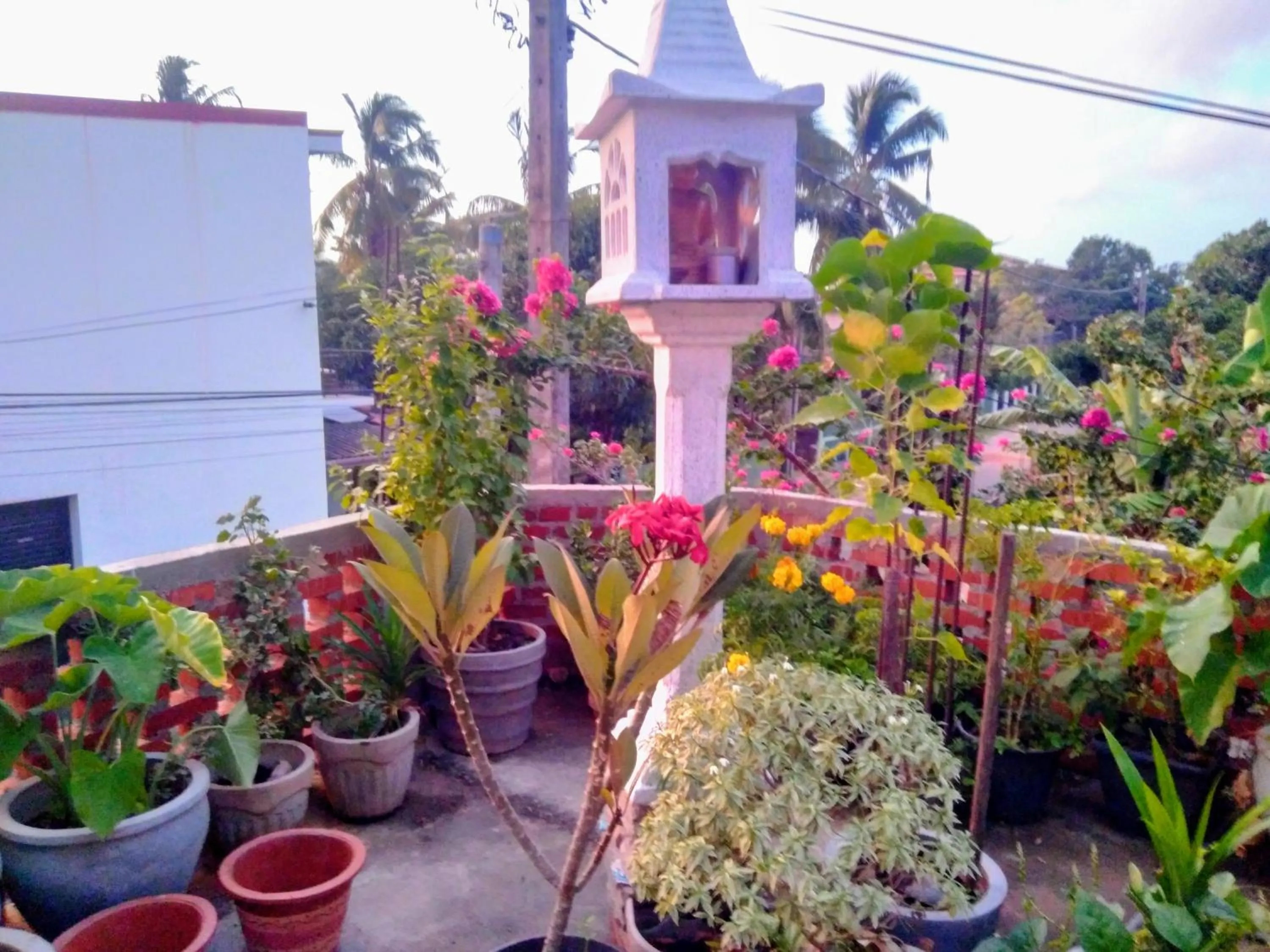 Garden in House Of Esanya