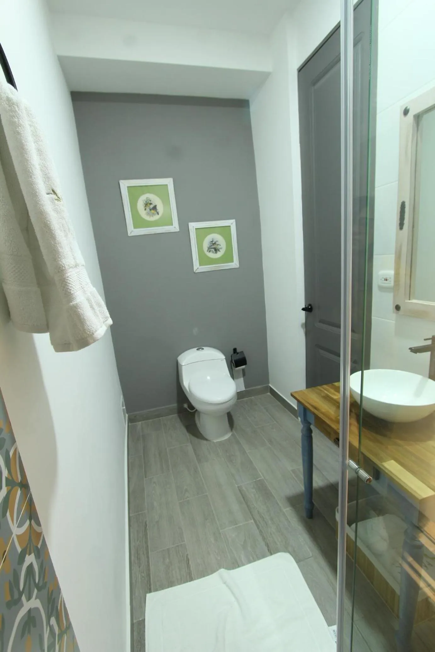 Toilet in Hotel Pajara Pinta