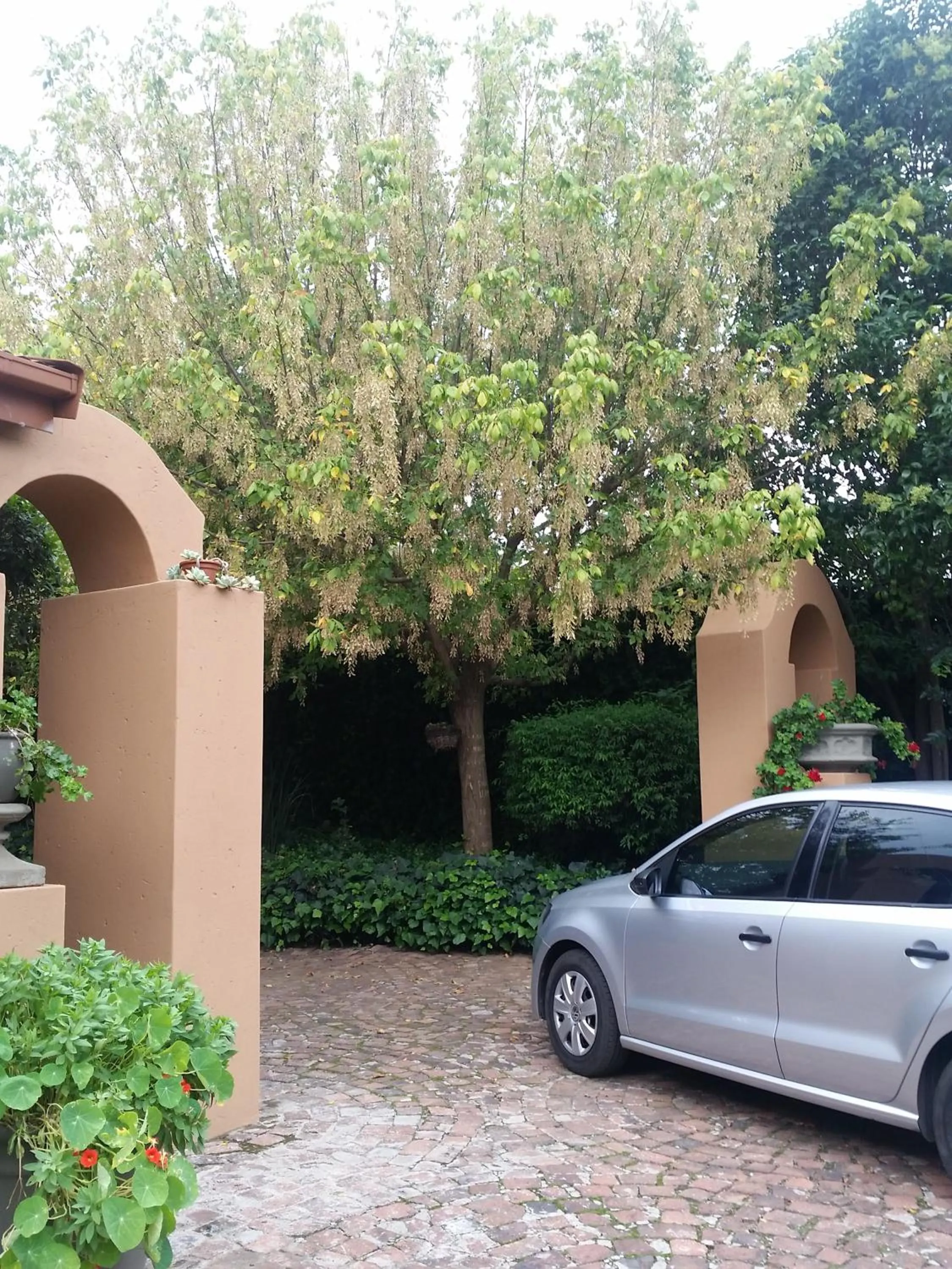 Garden view in Izimbali Lodge and Restaurant