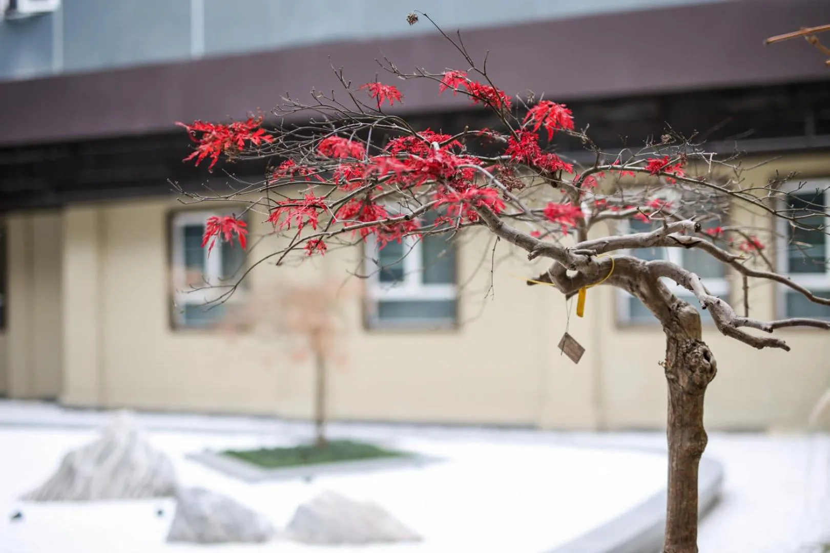 Property building in Ji Hotel - Shanghai Nanjing Road People's Square