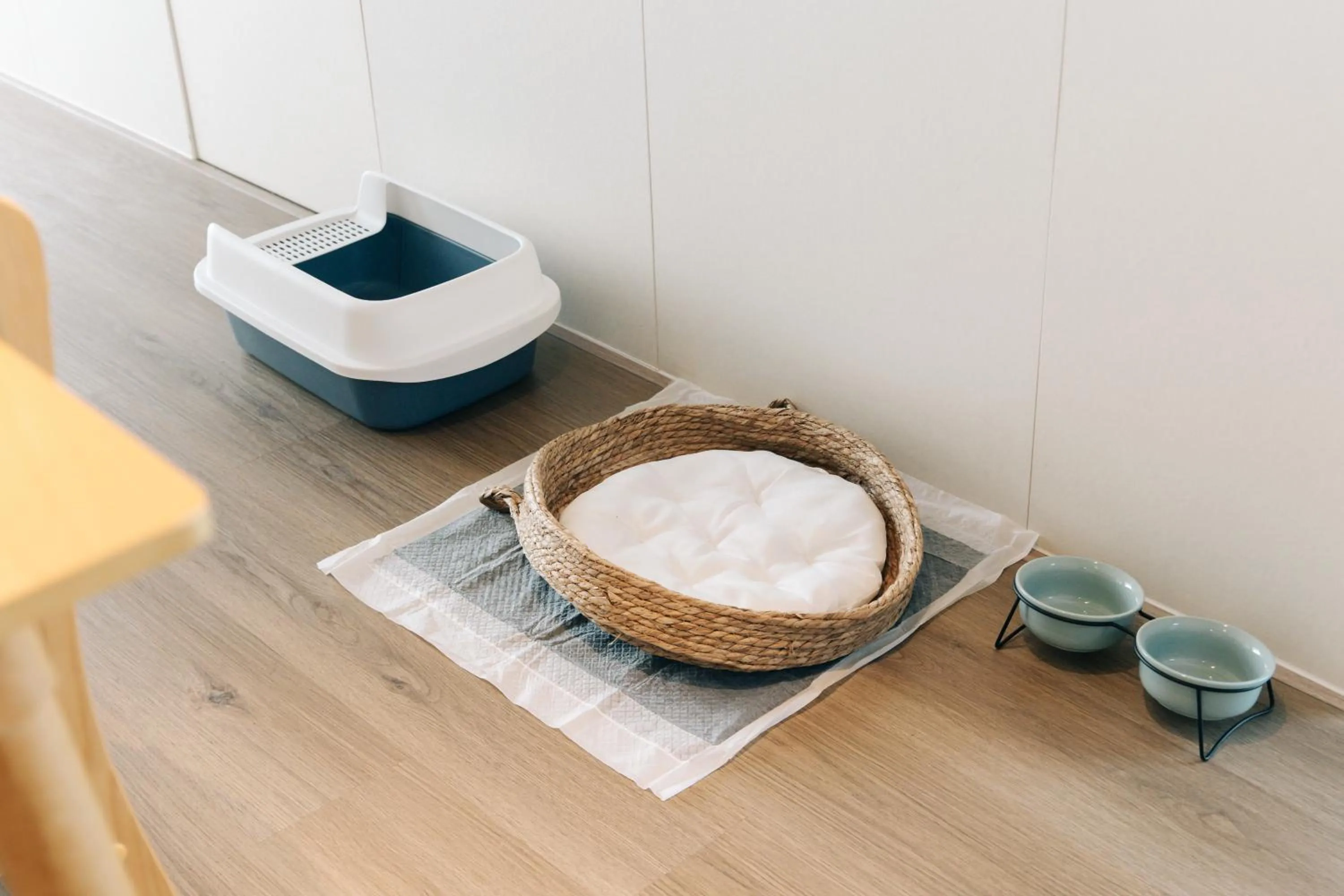 Pets in Nian hotel & resorts