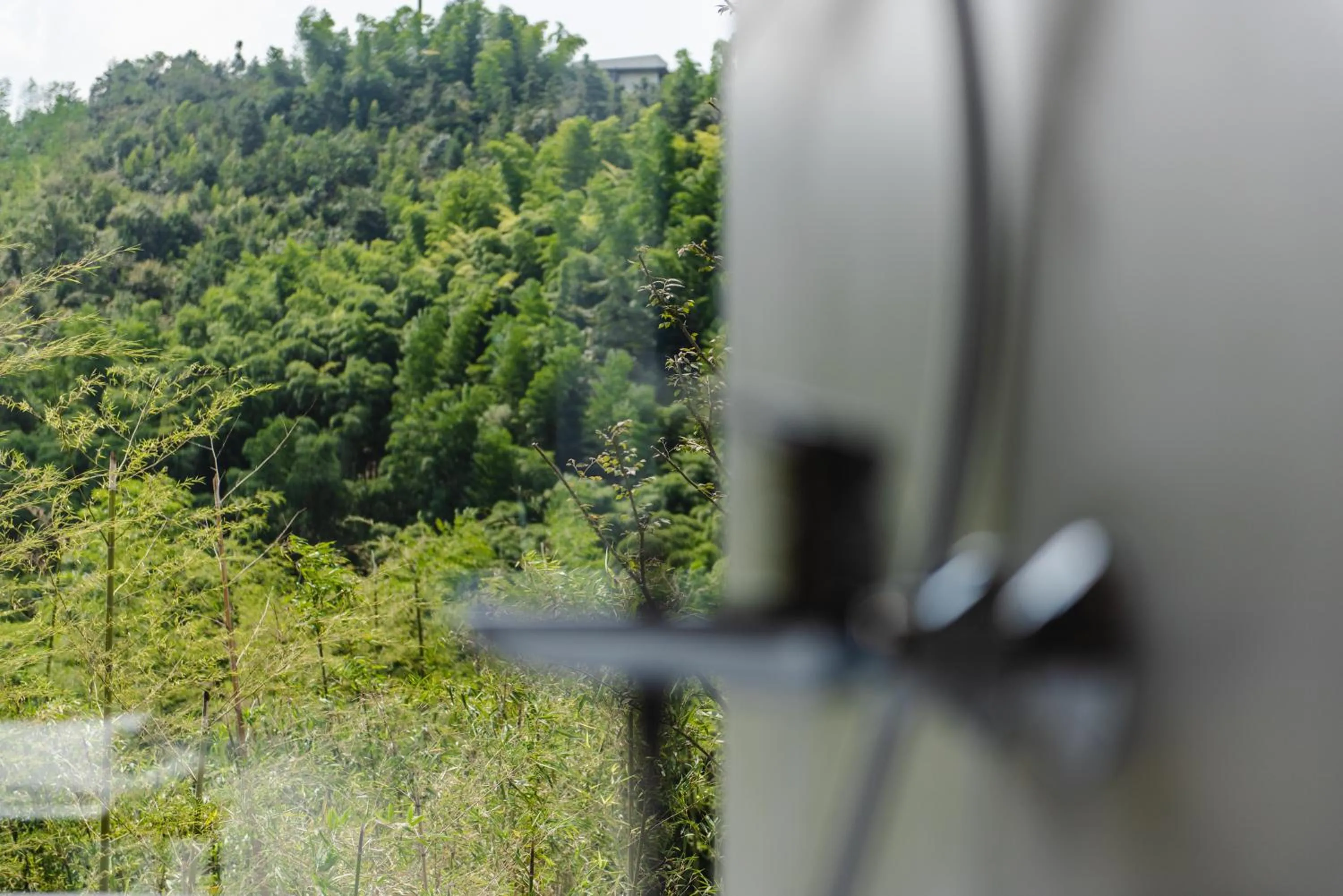 Natural landscape in Nian hotel & resorts