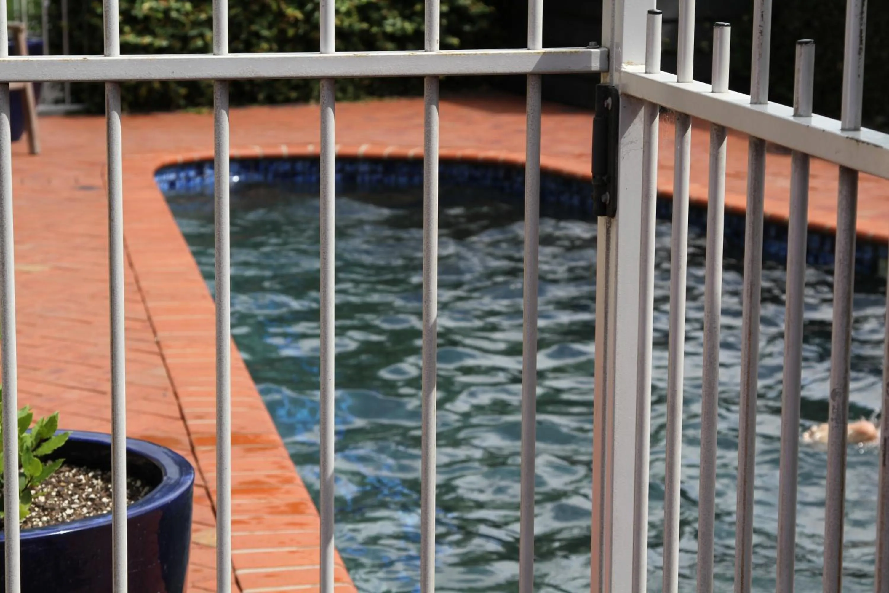 Day in Quantum Lodge Motor Inn