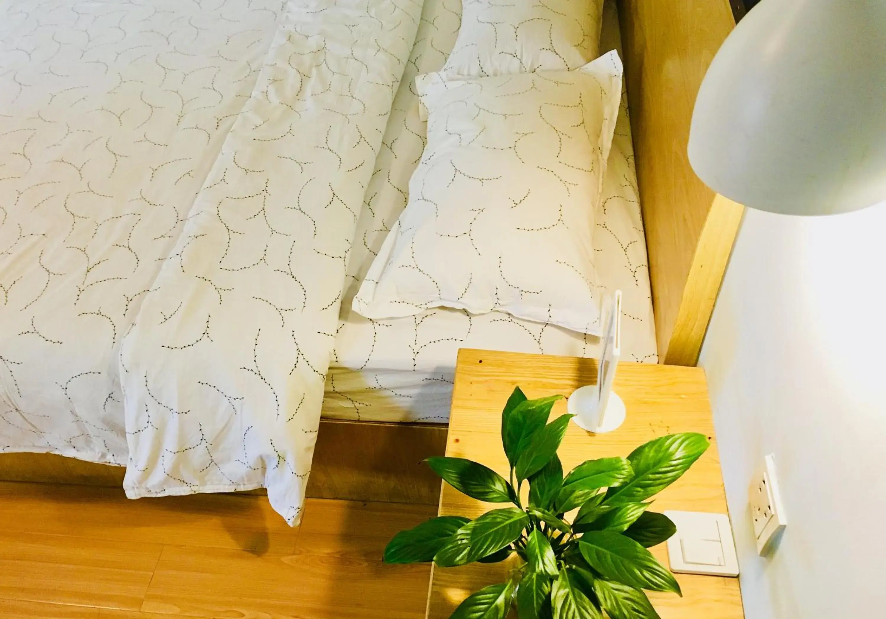 Standard Double Room - single occupancy in Guilin Cyan Box Guest House Standard Double Room - single occupancy in Guilin Cyan Box Guest House