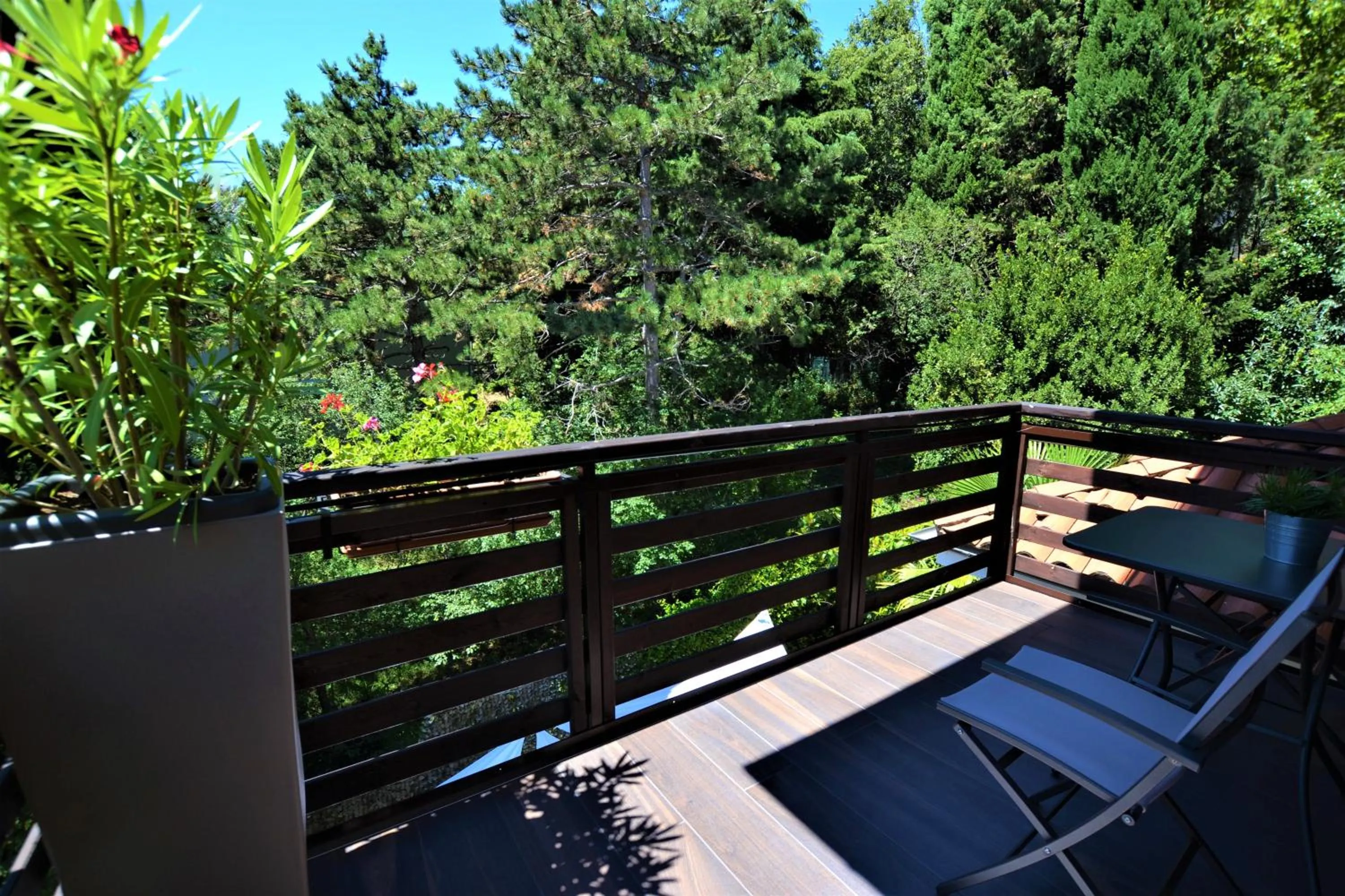 Garden view in Triestè59 B&B