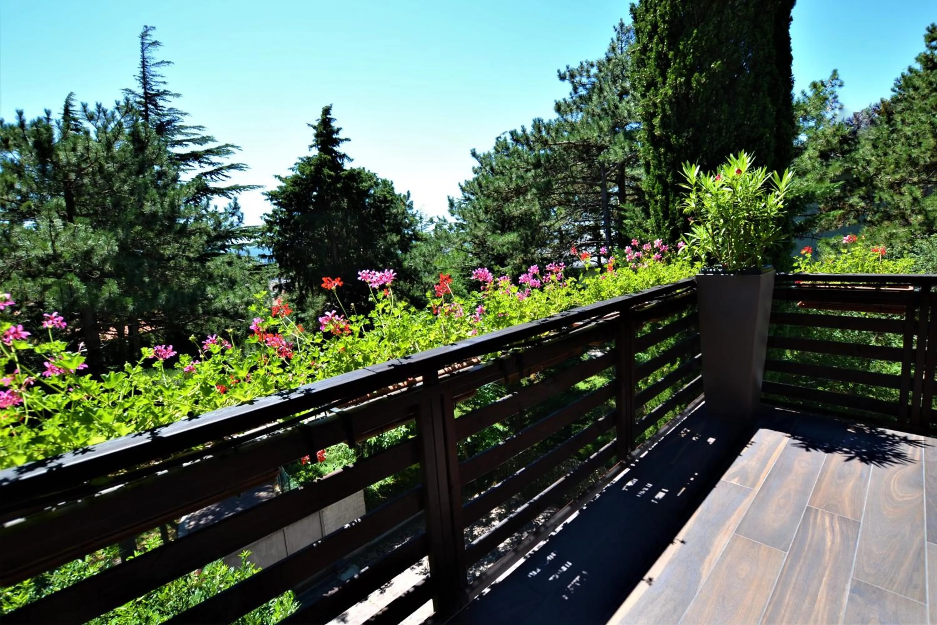 Garden view in Triestè59 B&B