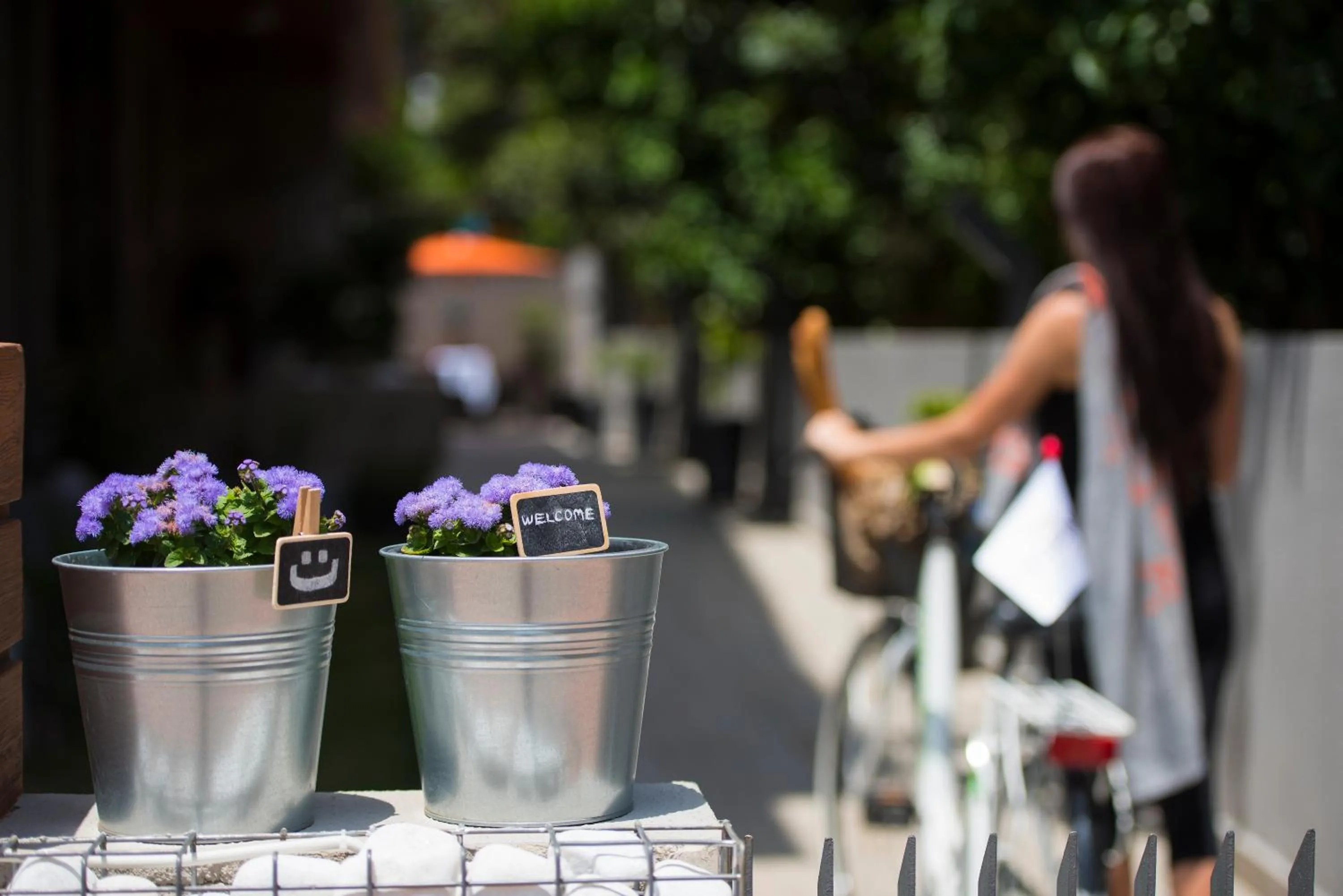 Other in Trend Suites