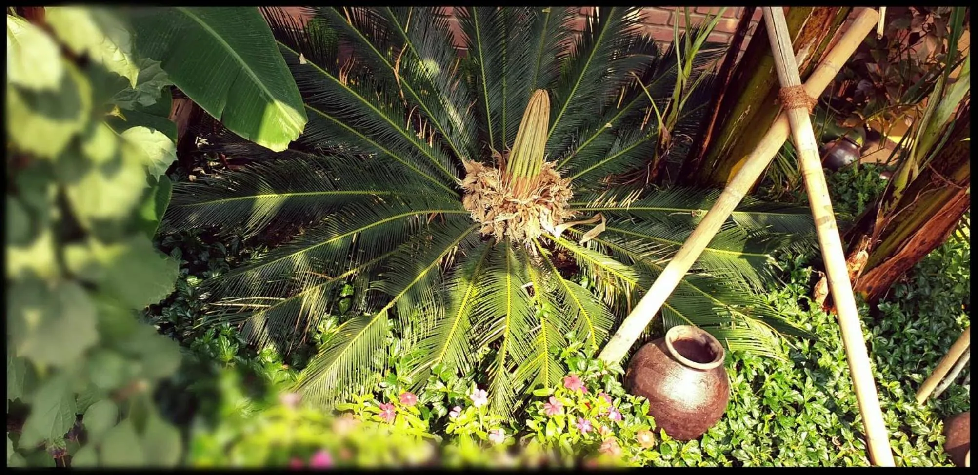 Garden in Thanakha Inle Hotel