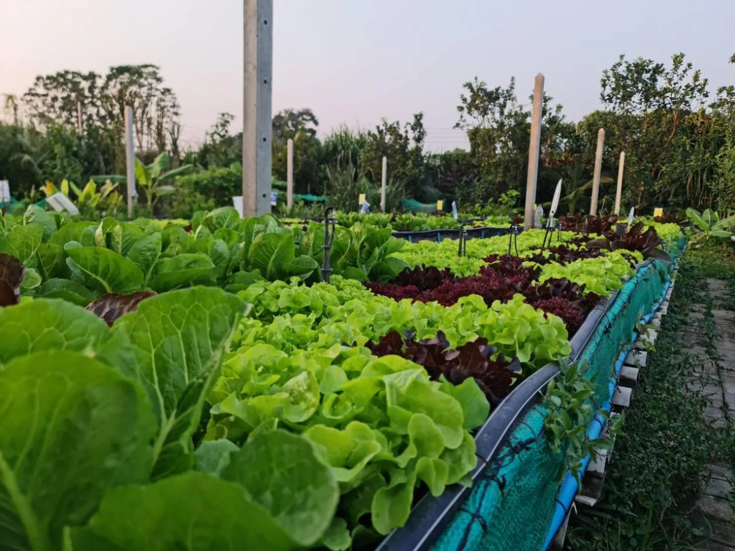 Neighbourhood in Kanchanaburi City Hotel