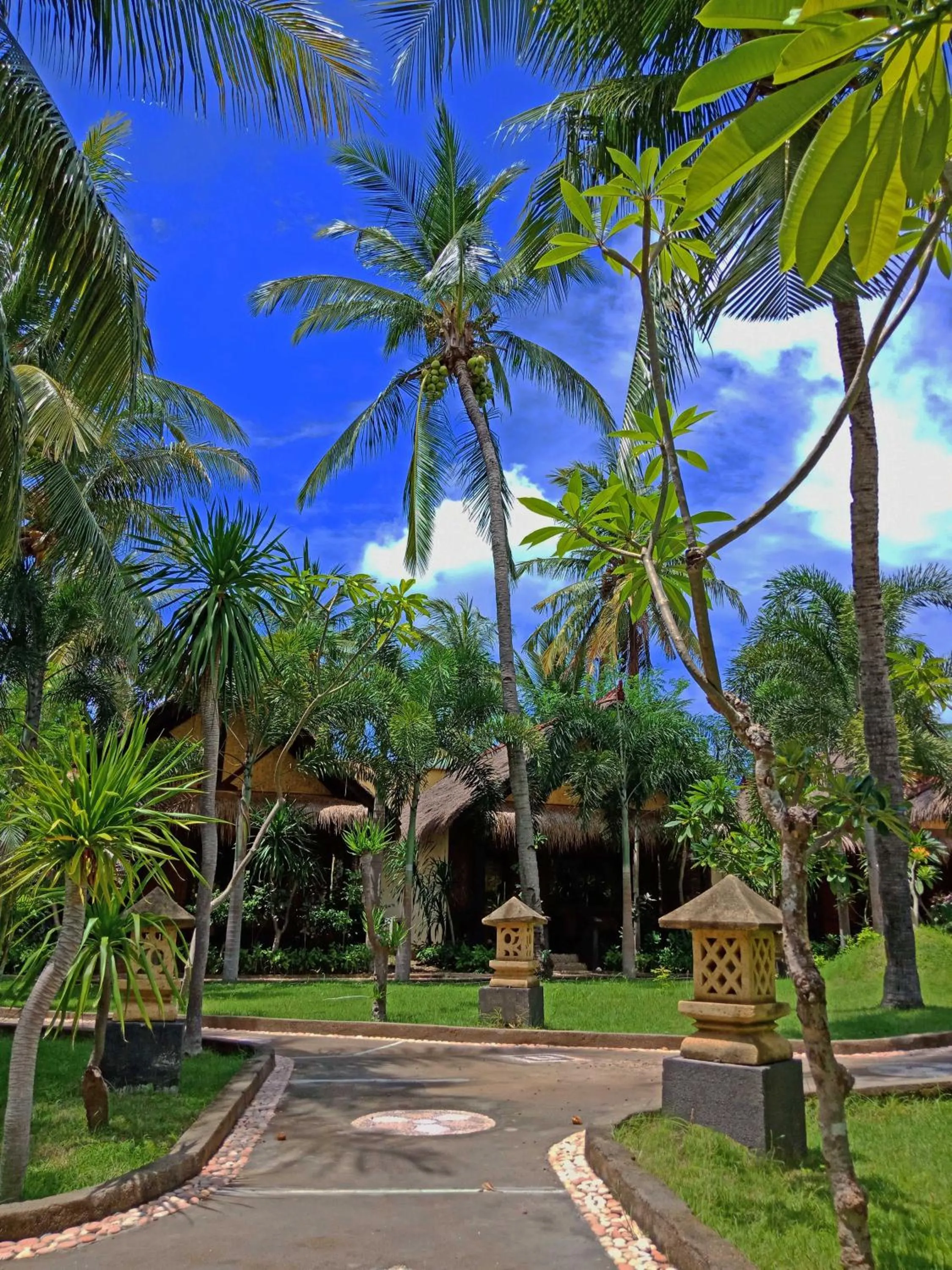 Garden in Salim Beach Resort