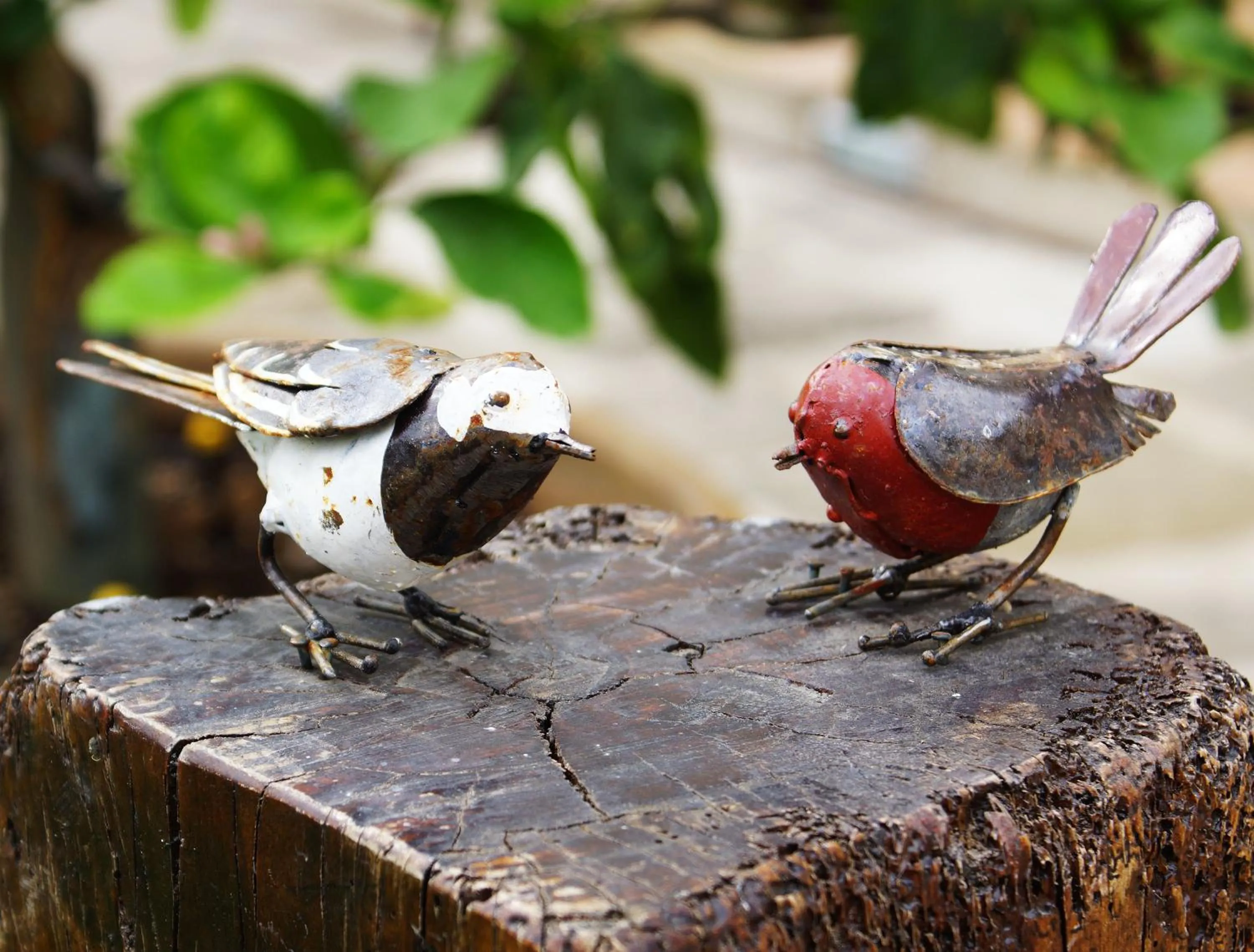 Garden in La Corte di Ronzano