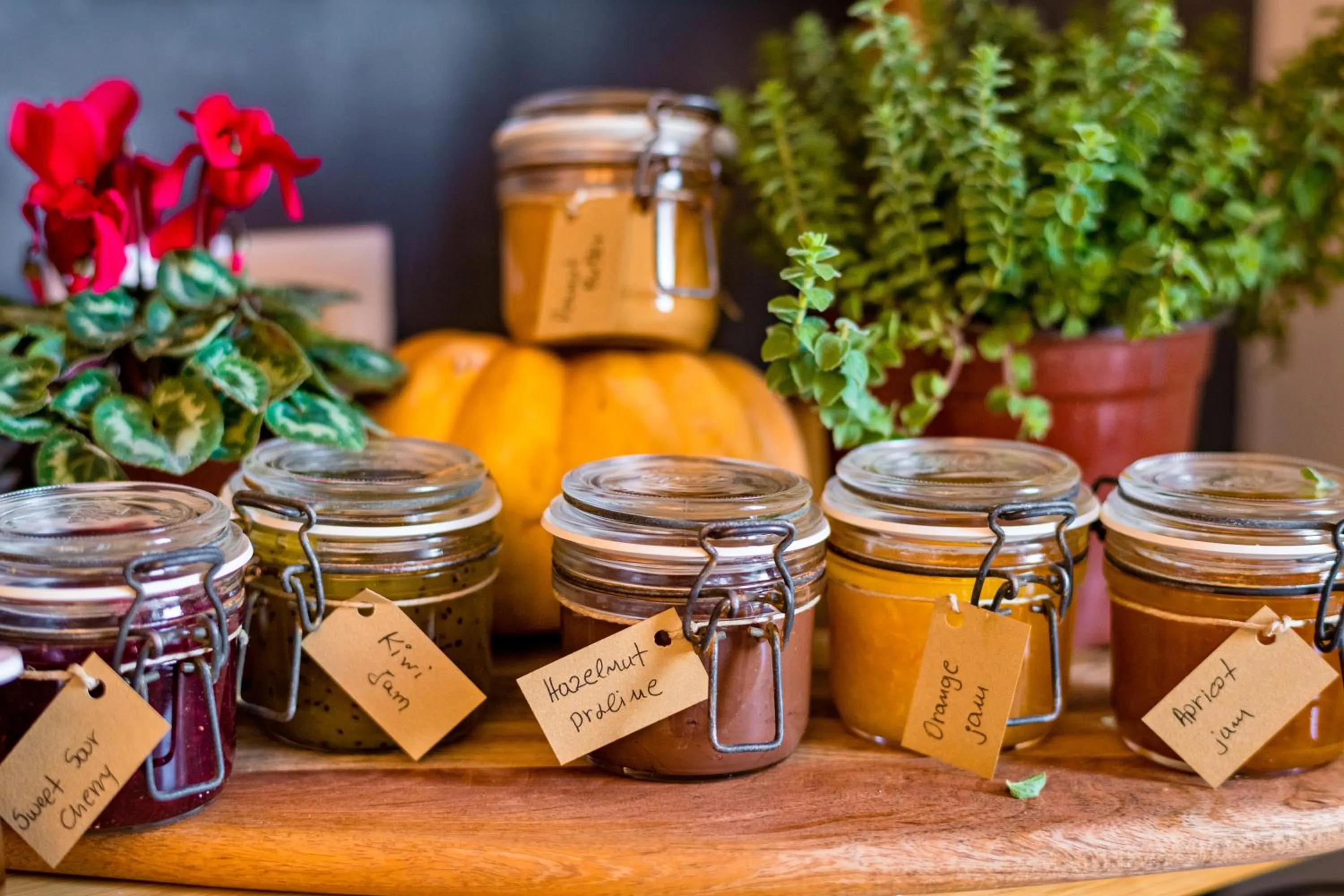 Continental breakfast in Leto Nuevo Hotel
