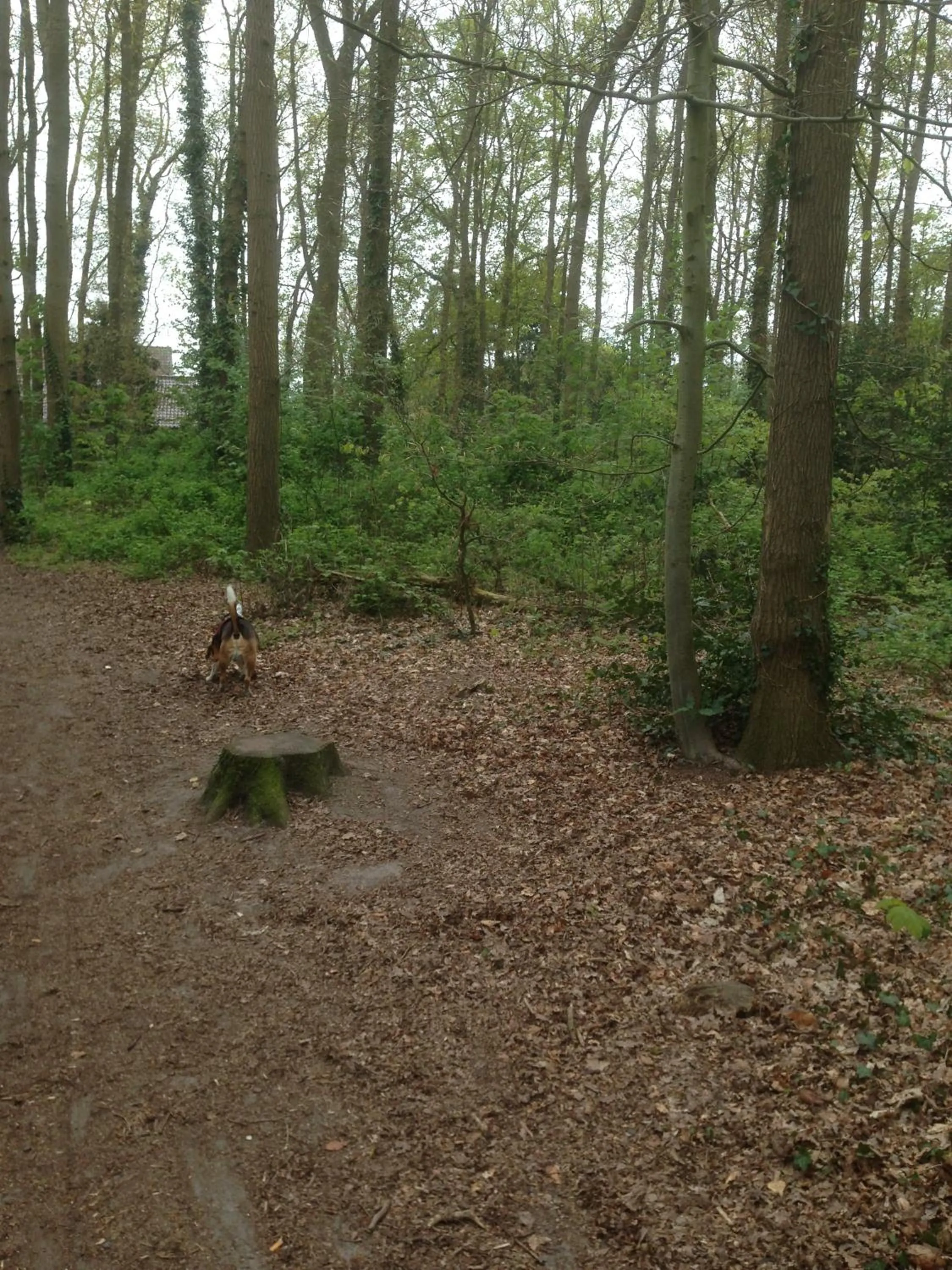 Neighbourhood in Homestay Mimi's Rental