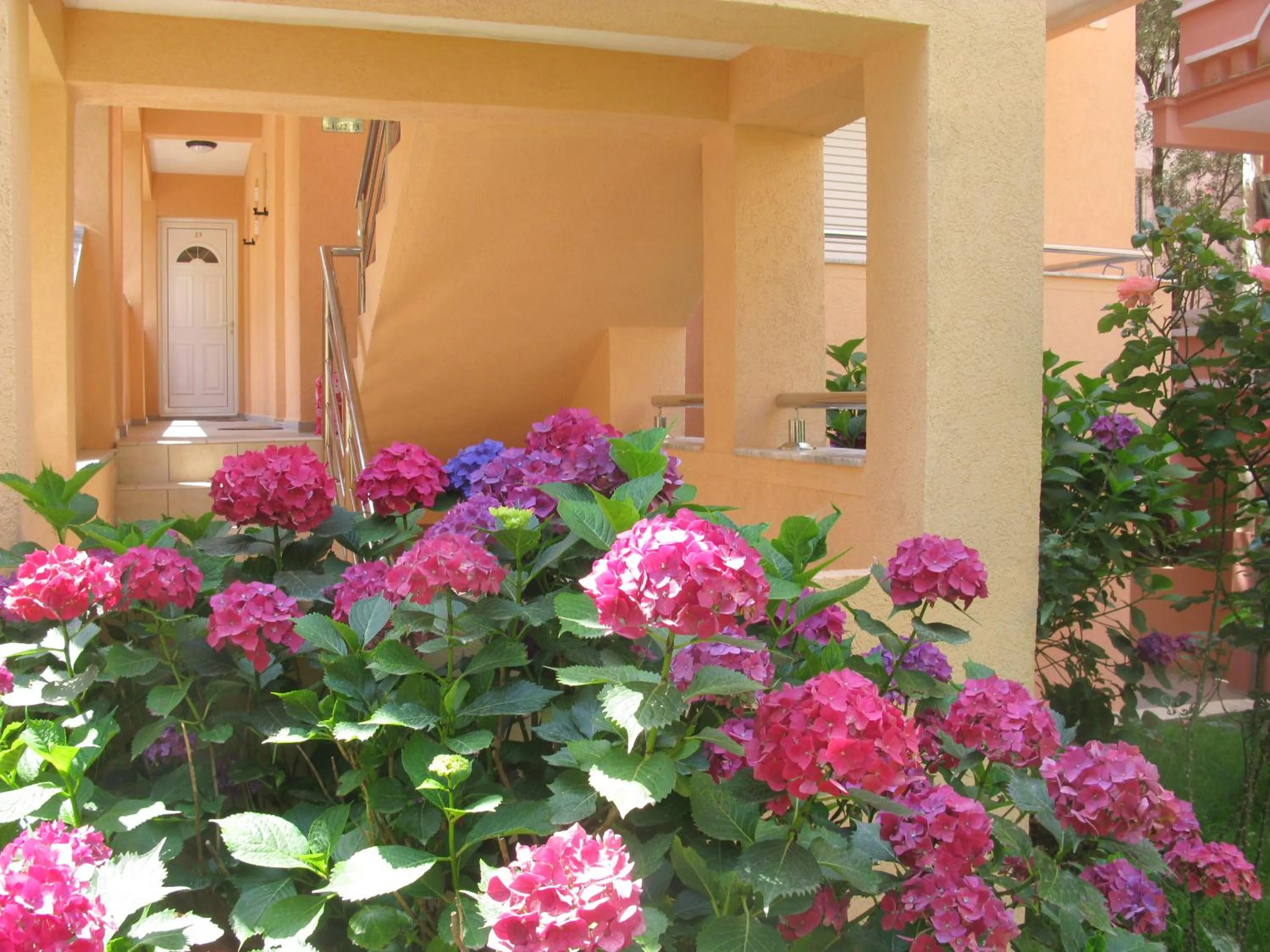 Garden in Garni Hotel Koral