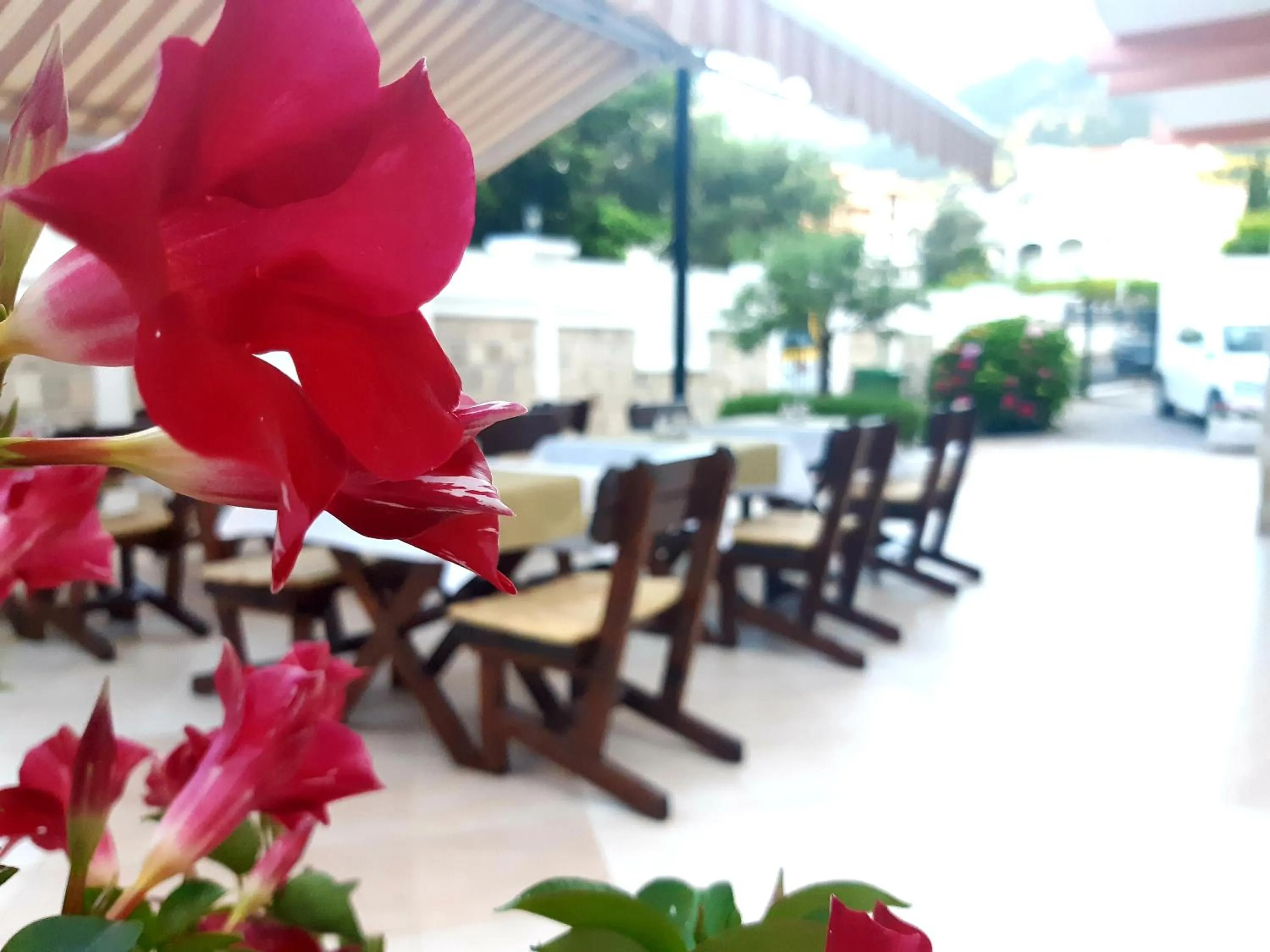 Balcony/Terrace in Garni Hotel Koral
