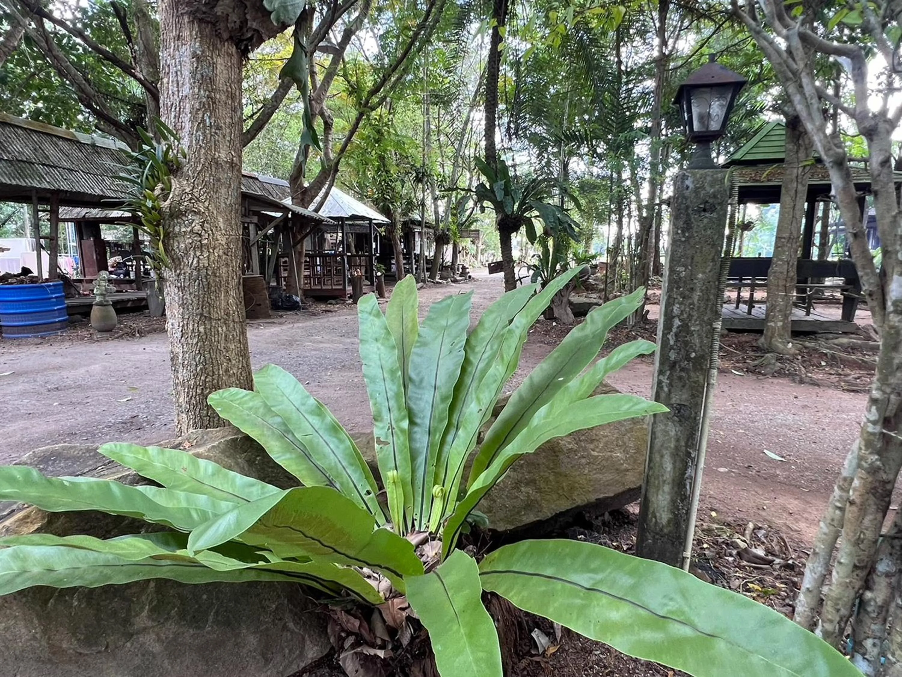 Natural landscape in Pang Mai Resort