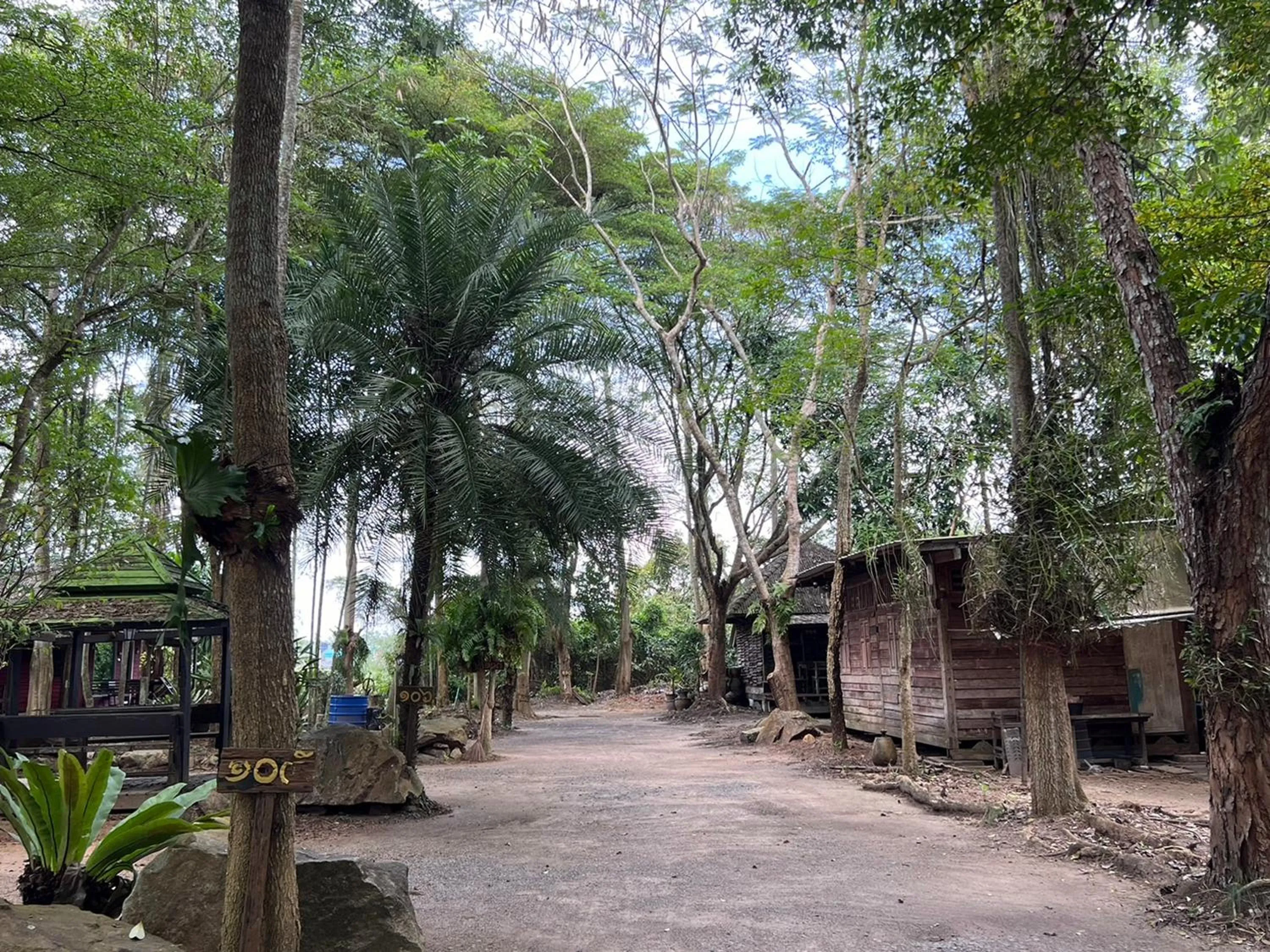 Natural landscape in Pang Mai Resort