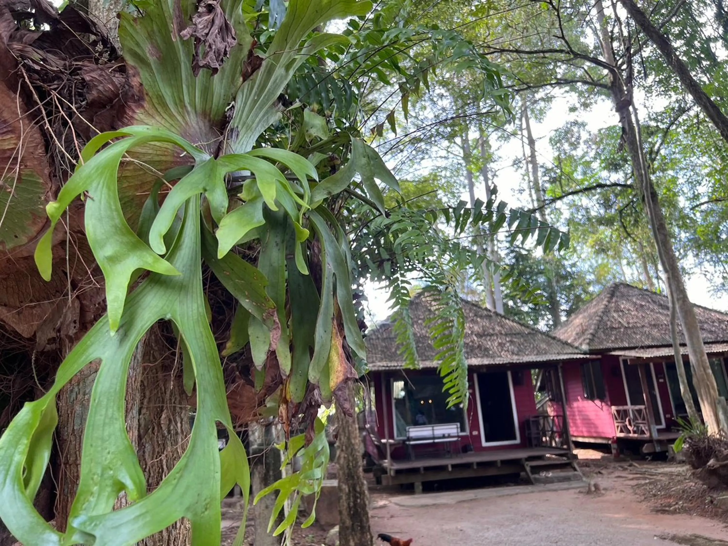 Property building in Pang Mai Resort