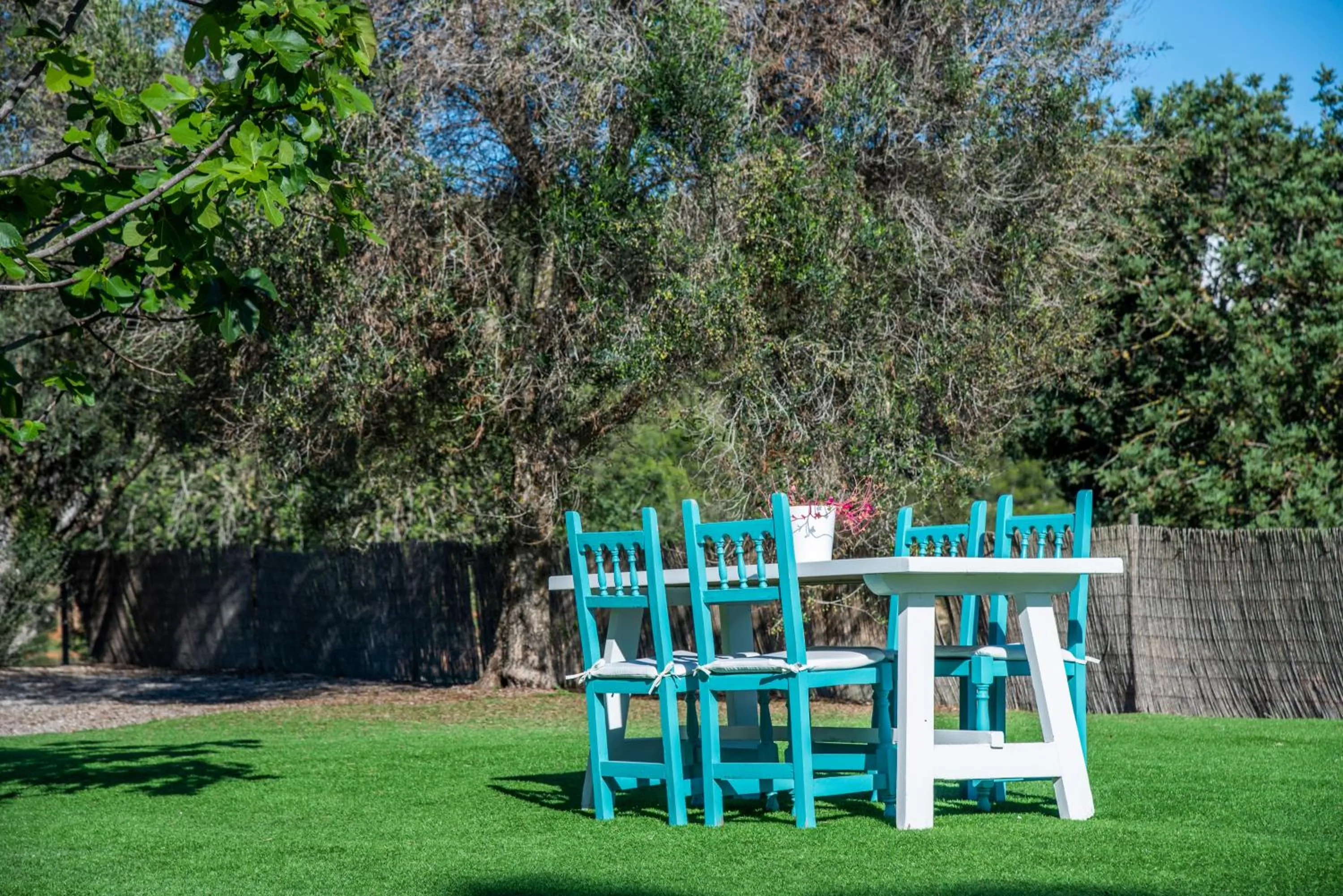 Garden in Agroturismo Can Cosmi Prats