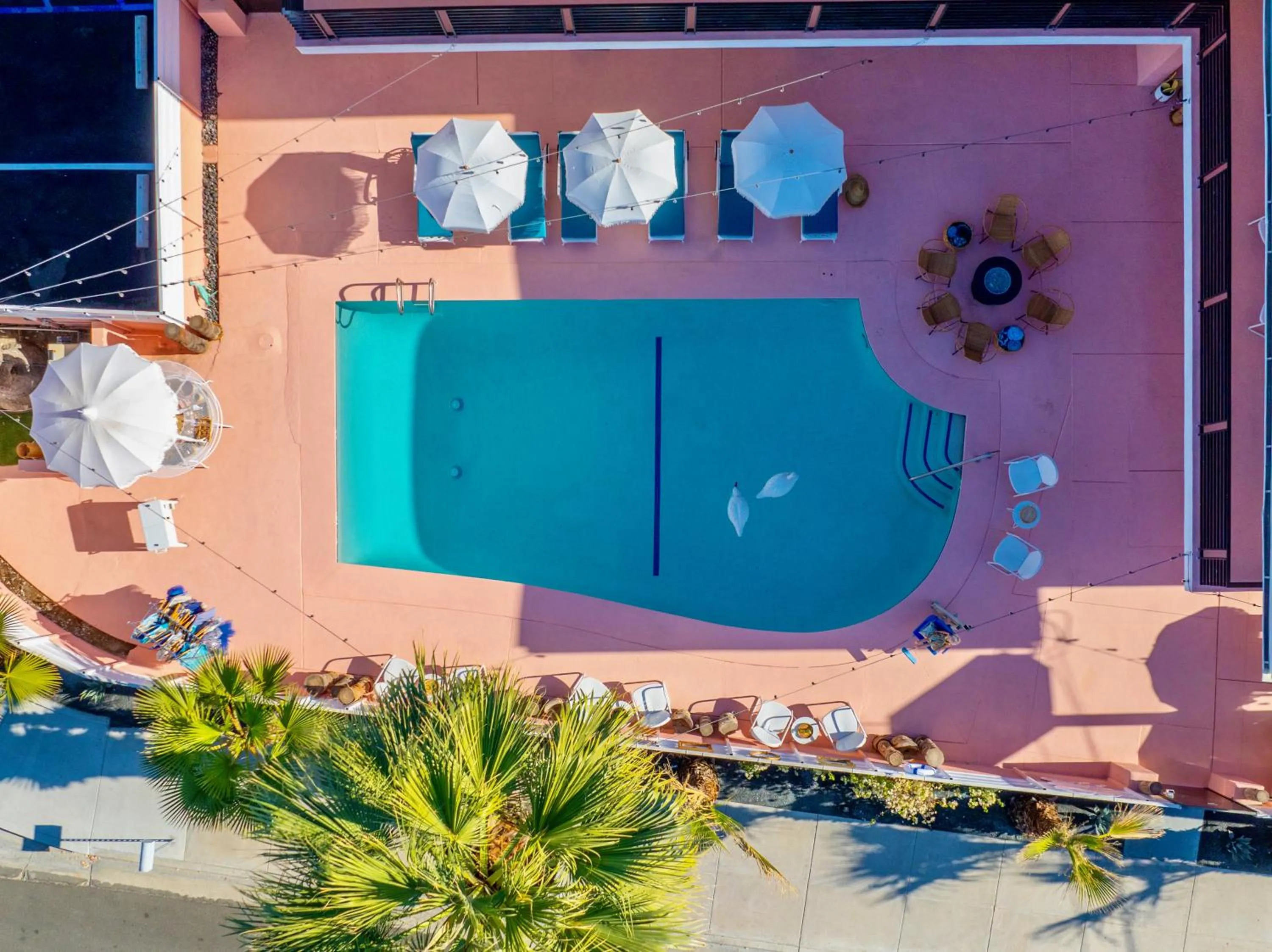 Swimming pool in The Stardust Hotel - Adults Only