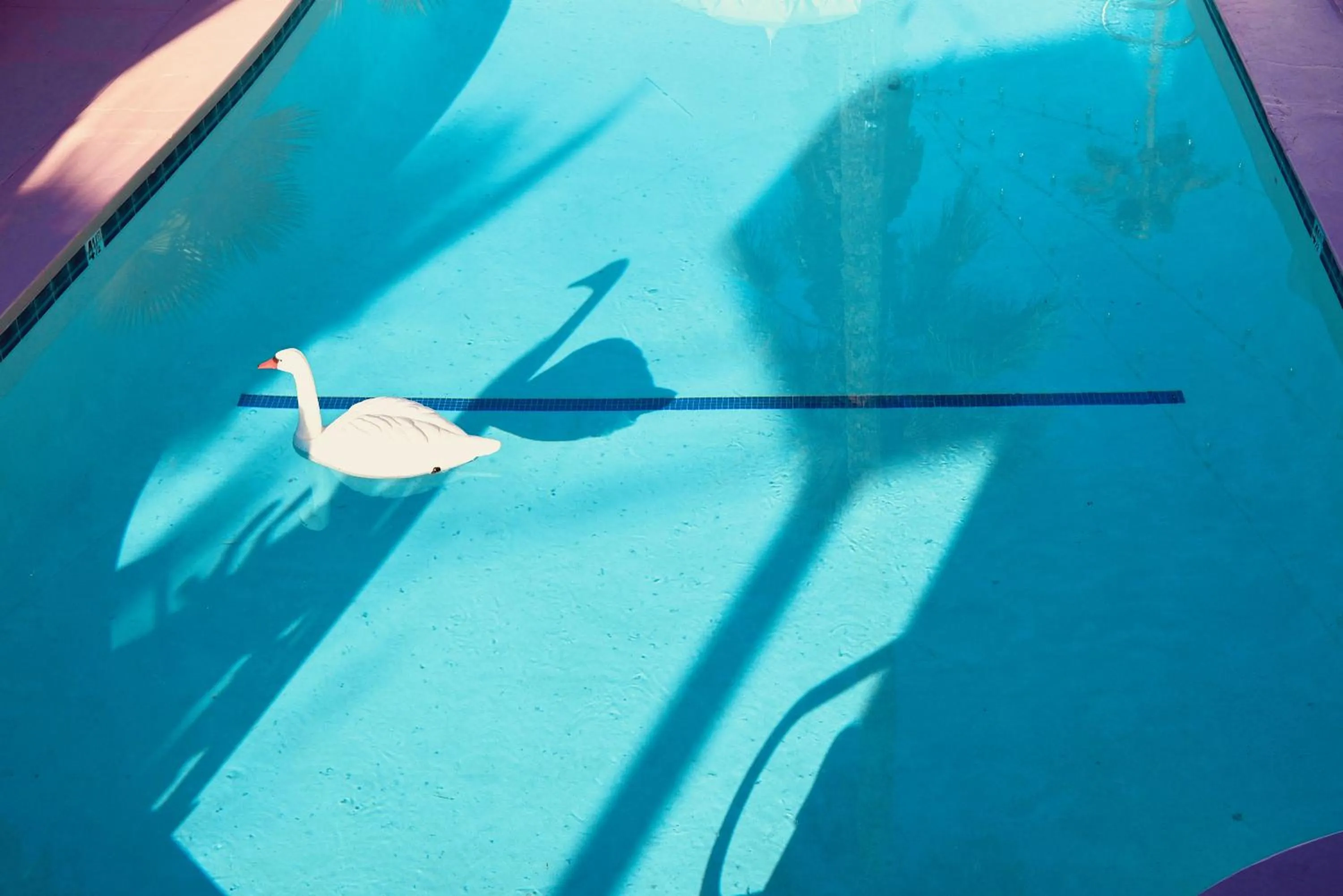 Swimming pool in The Stardust Hotel - Adults Only