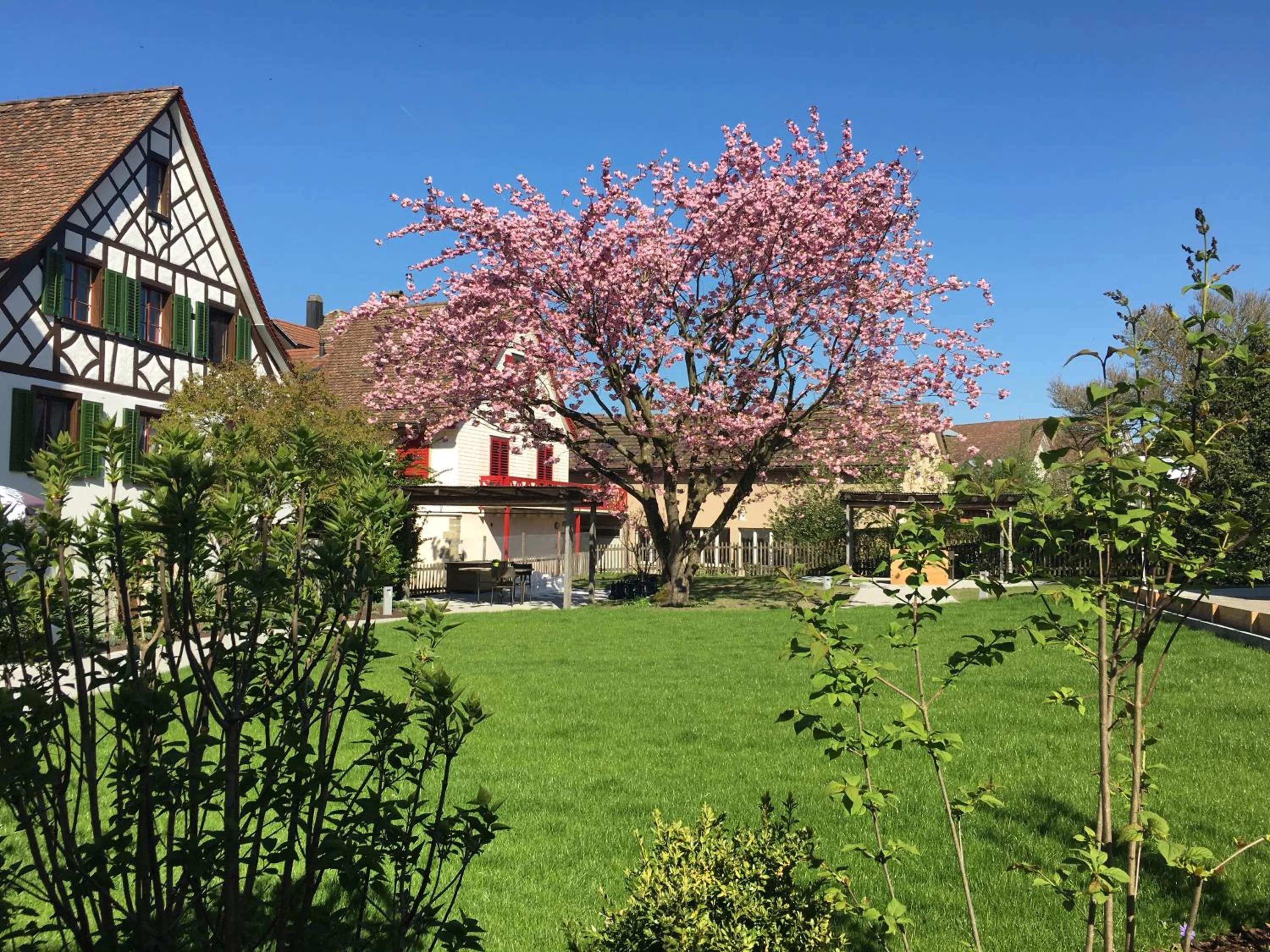 Garden in Ferienhotel Bodensee