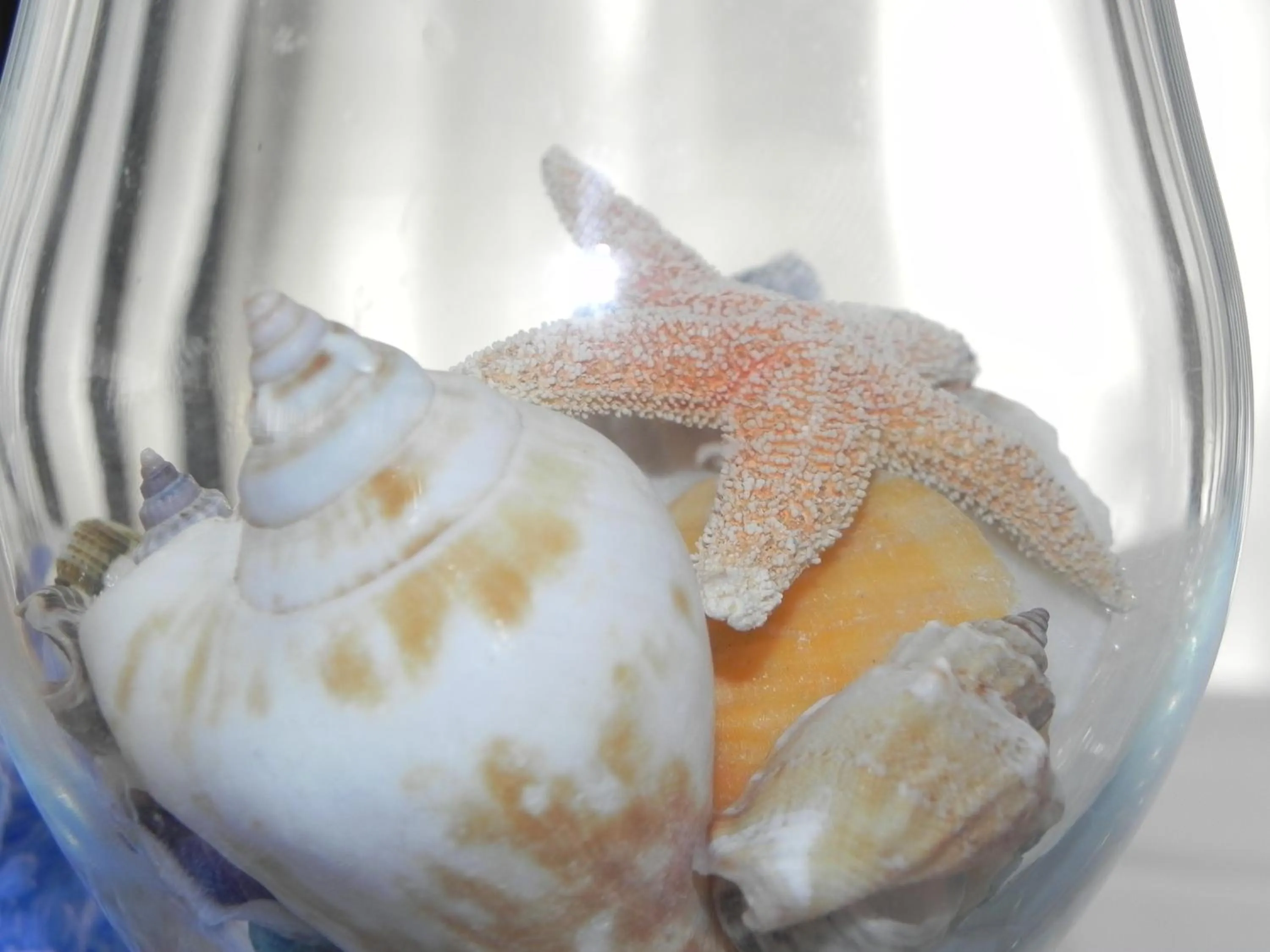 Decorative detail in Hotel Arizona