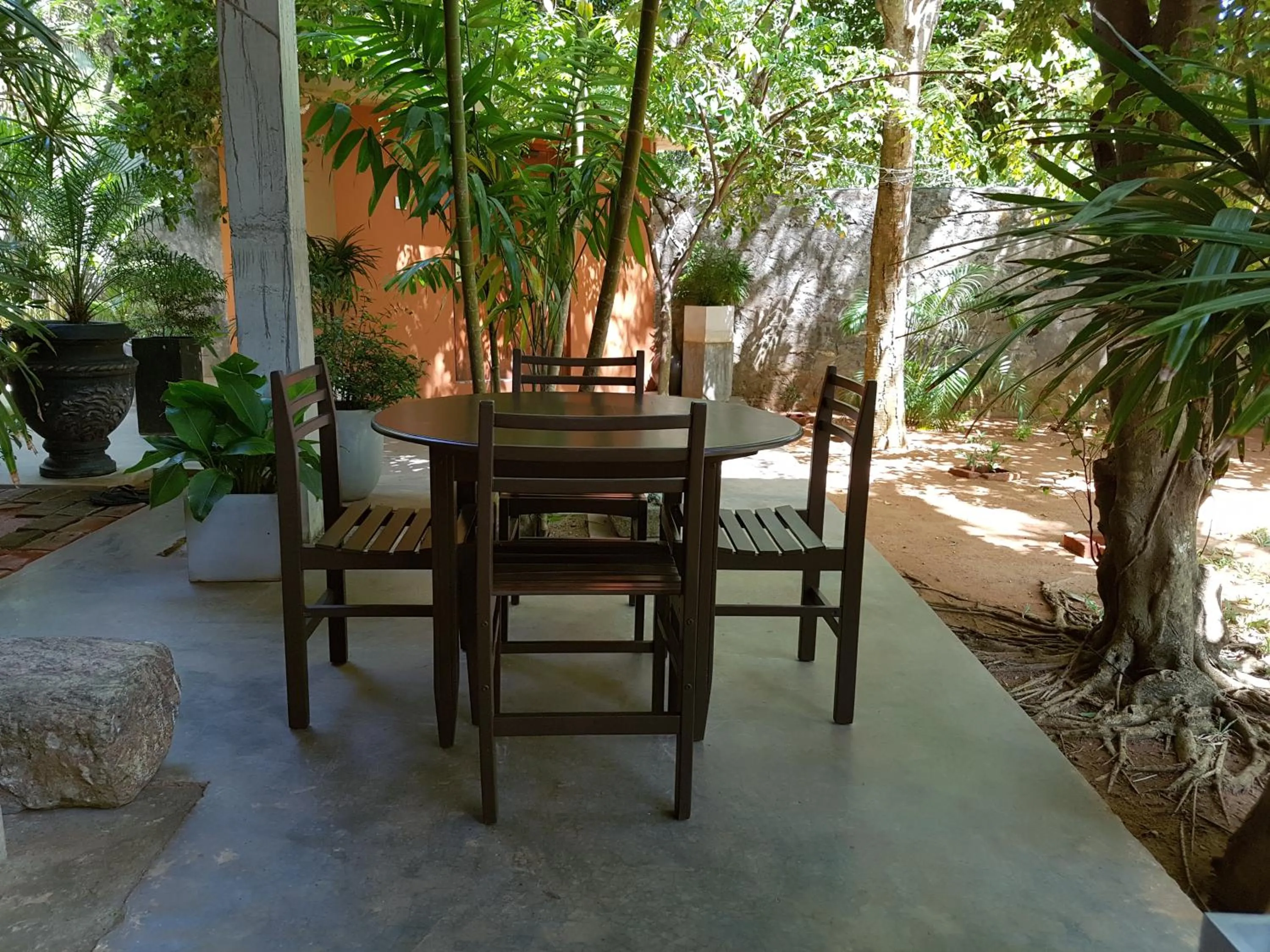 Garden in My Village