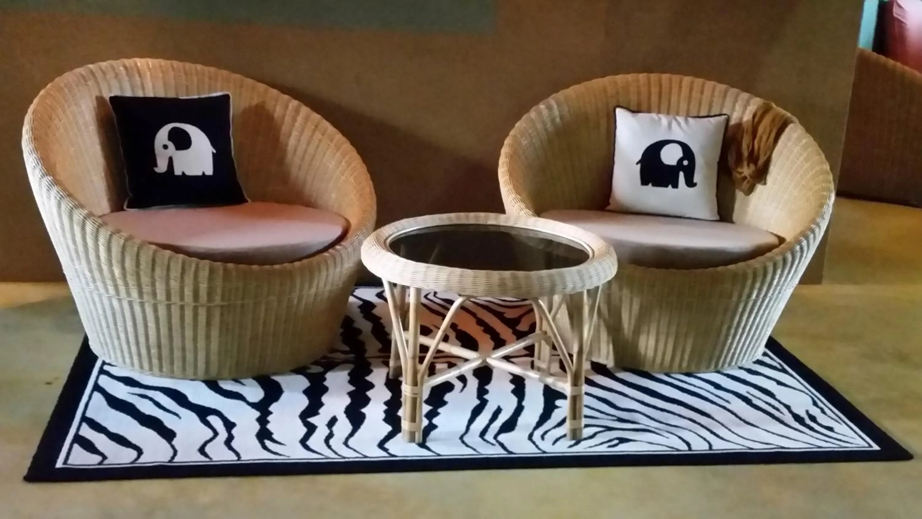 Lounge or bar in My Village