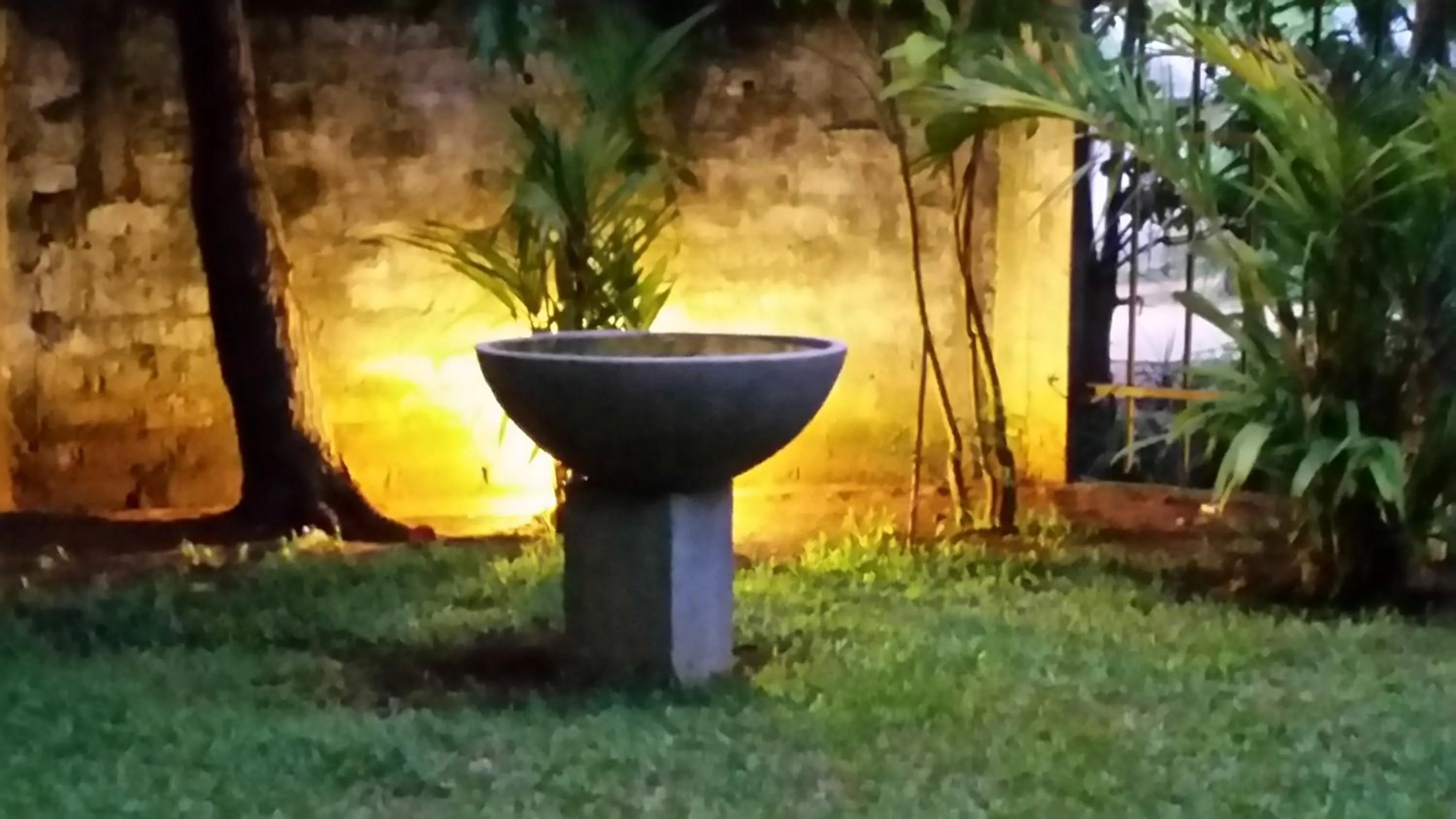 Garden in My Village