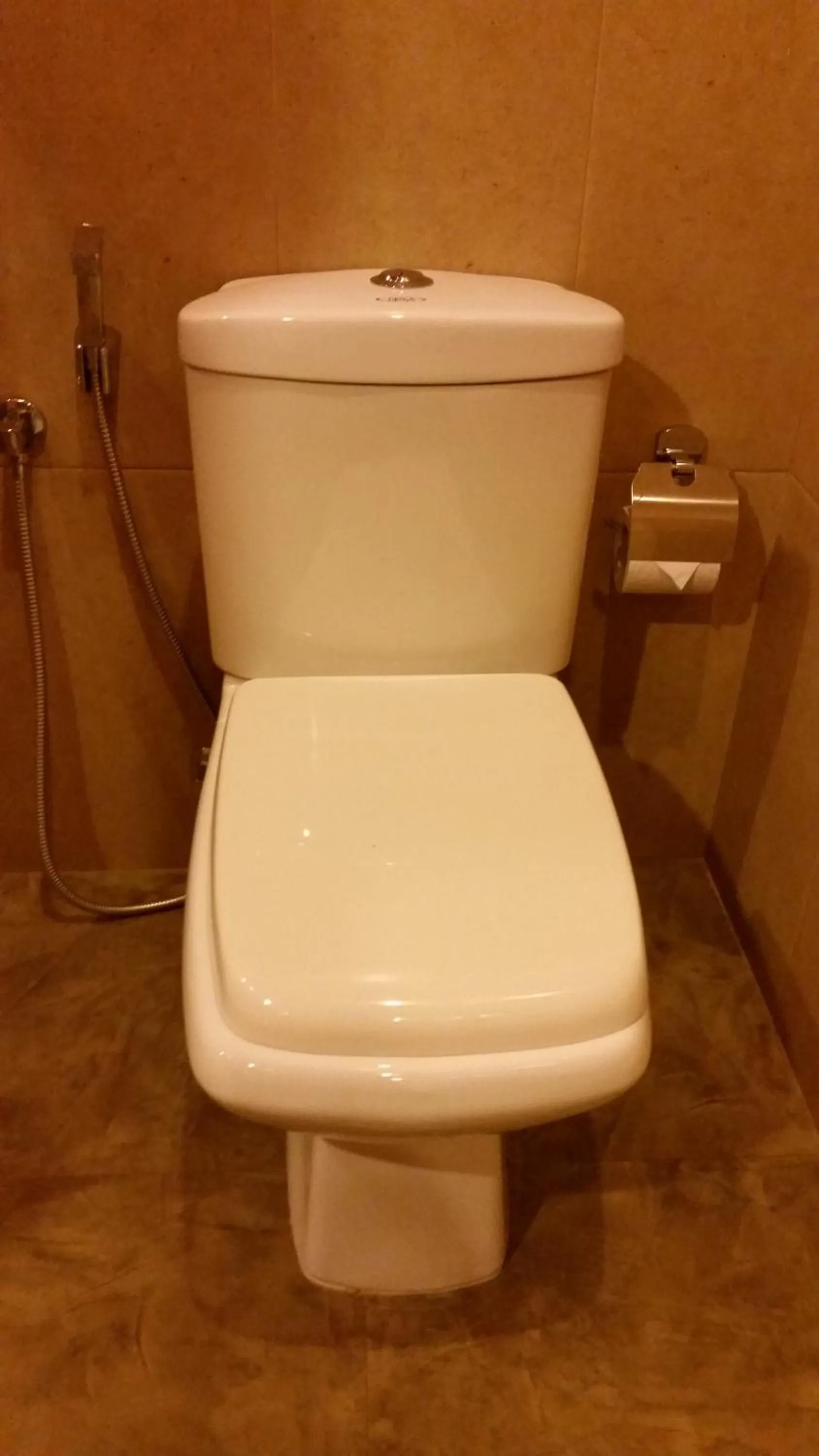 Toilet in My Village