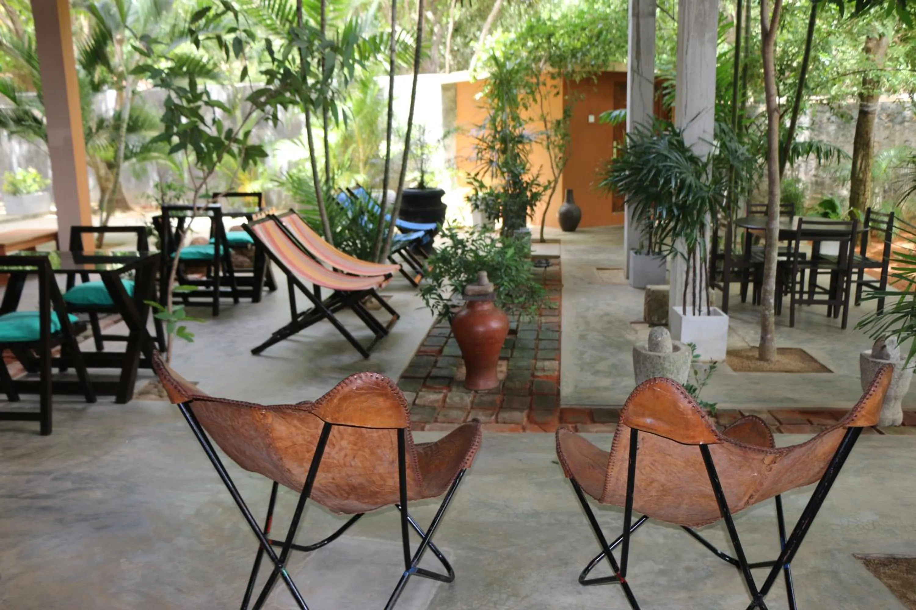 Garden in My Village