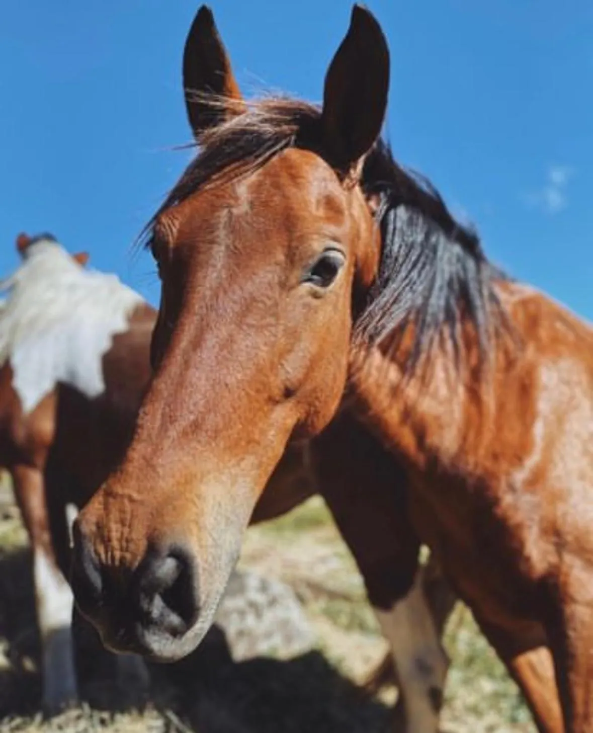 Activities in Hotel Belmar