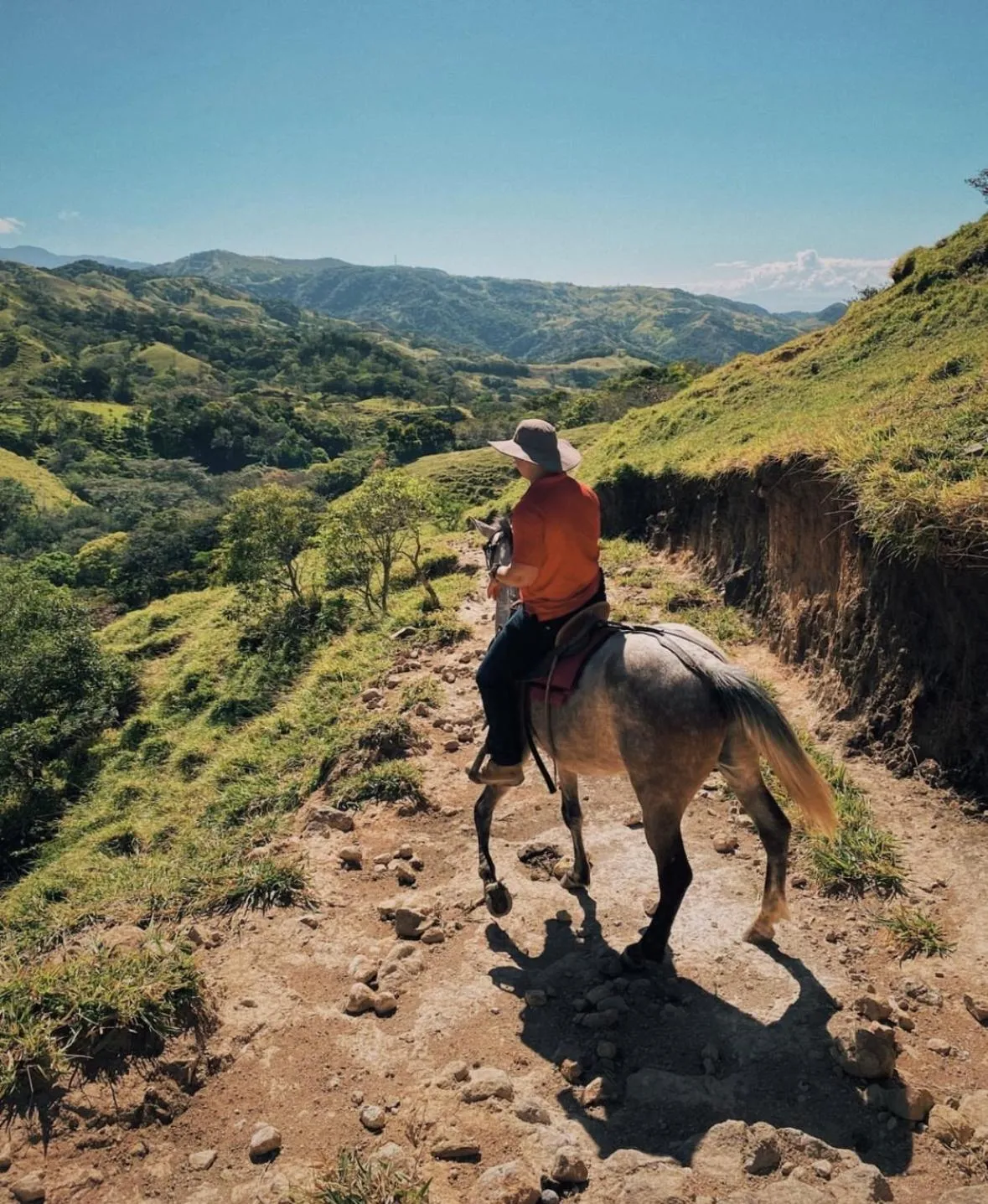 Activities in Hotel Belmar