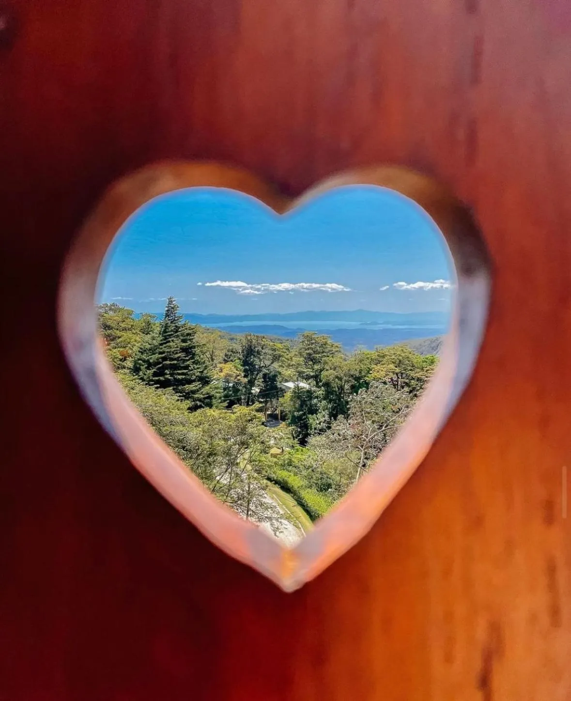 Property building in Hotel Belmar