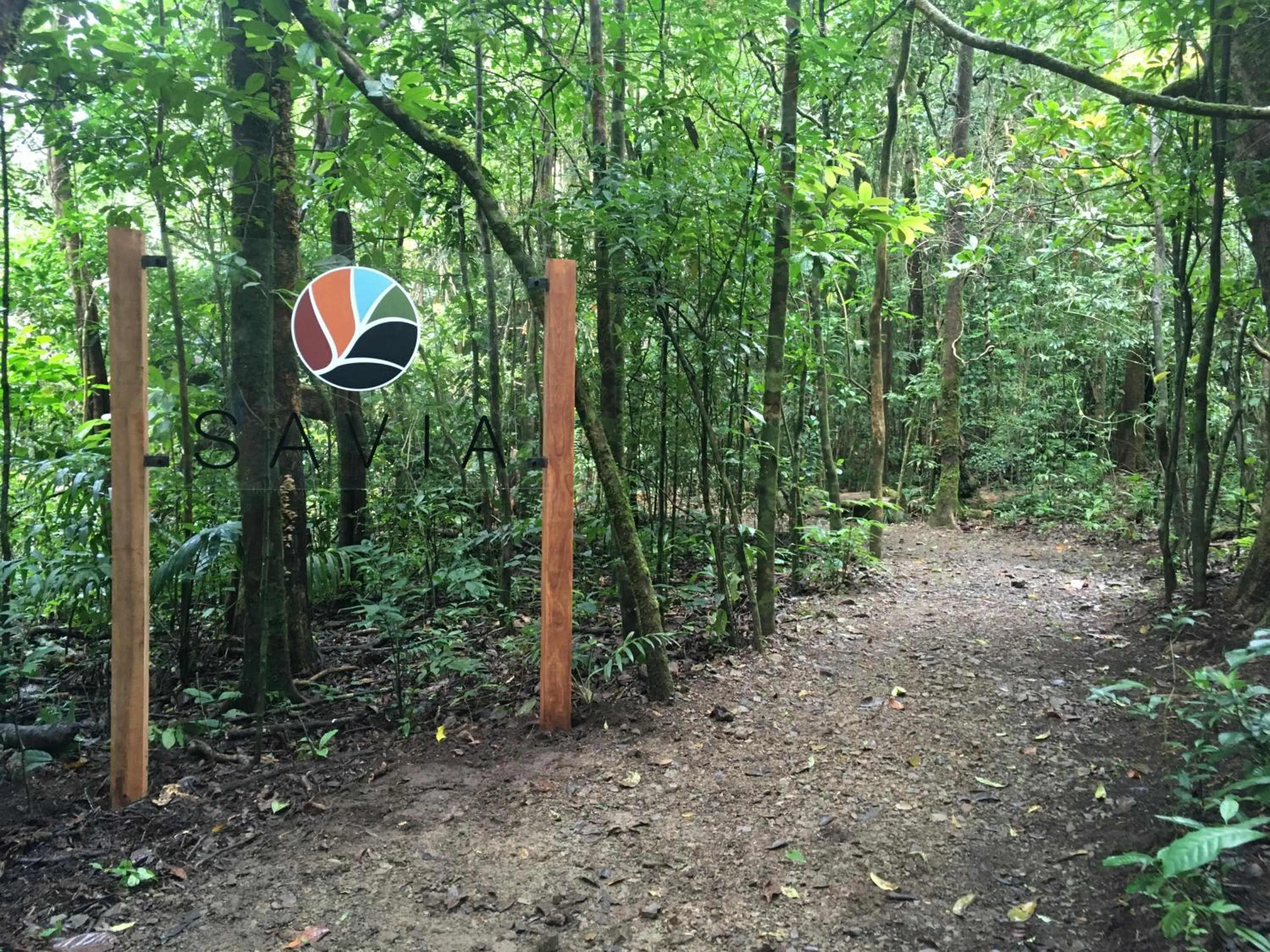 Activities in Hotel Belmar